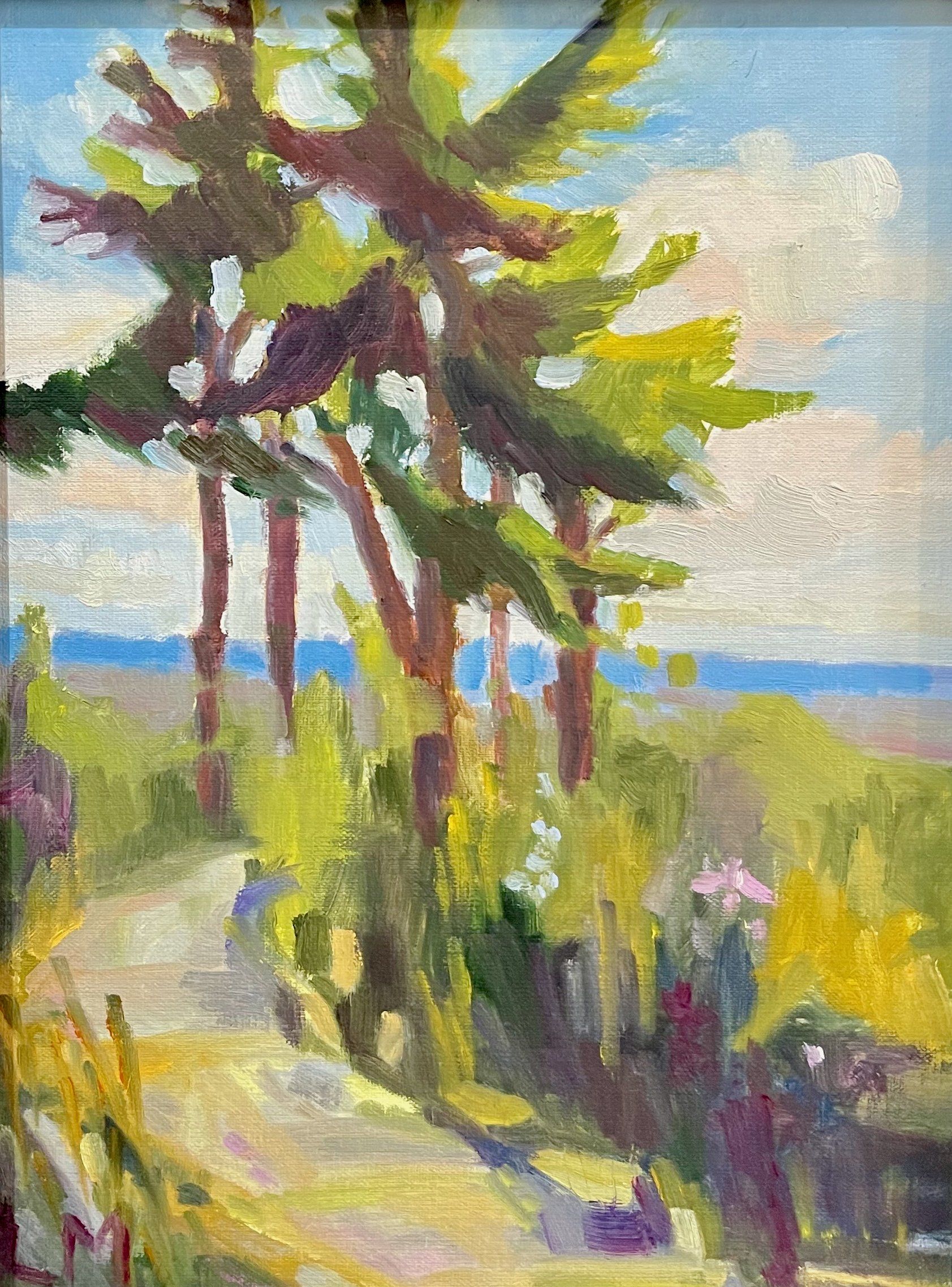 Pine Stand, oils, 9x12