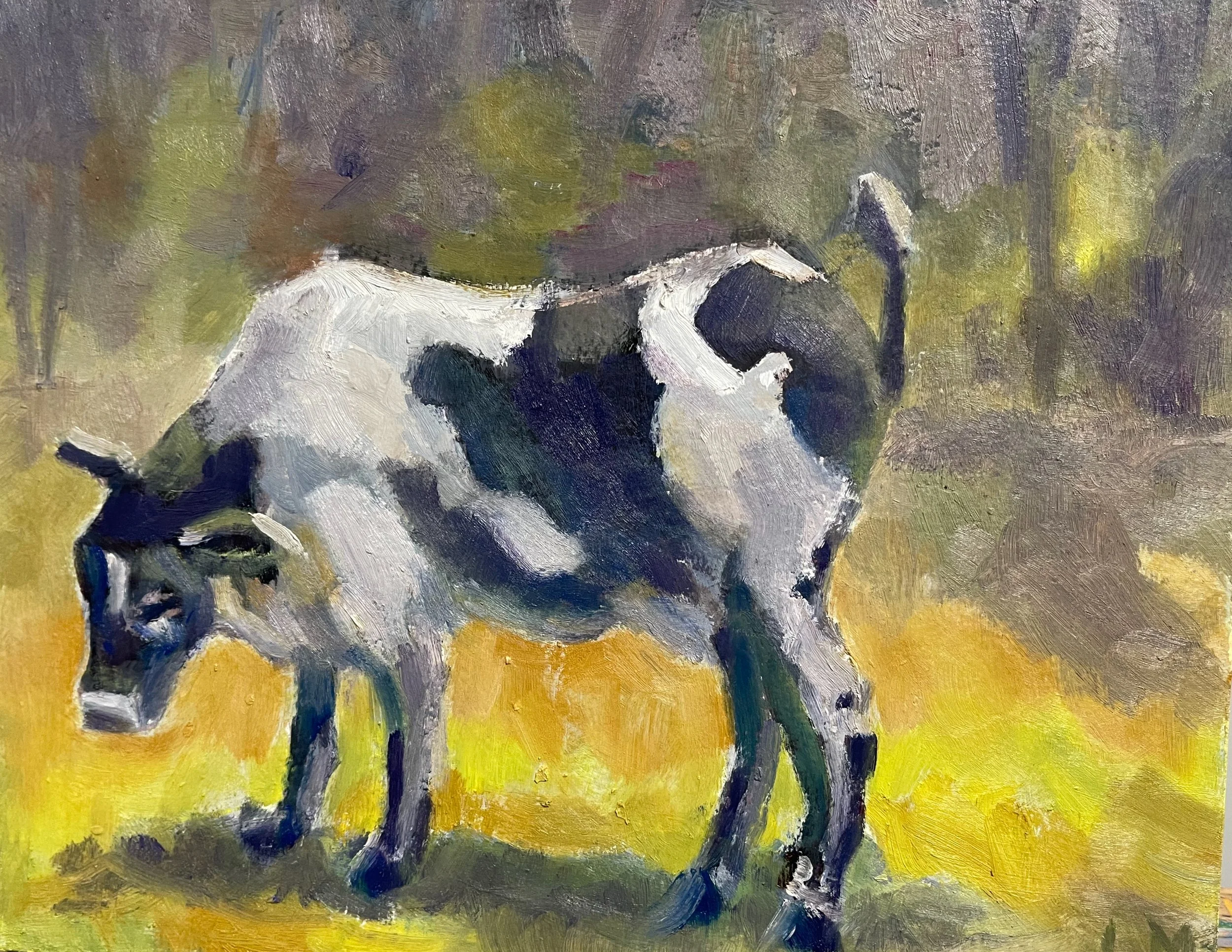 Heads or tails 9x6.jpeg