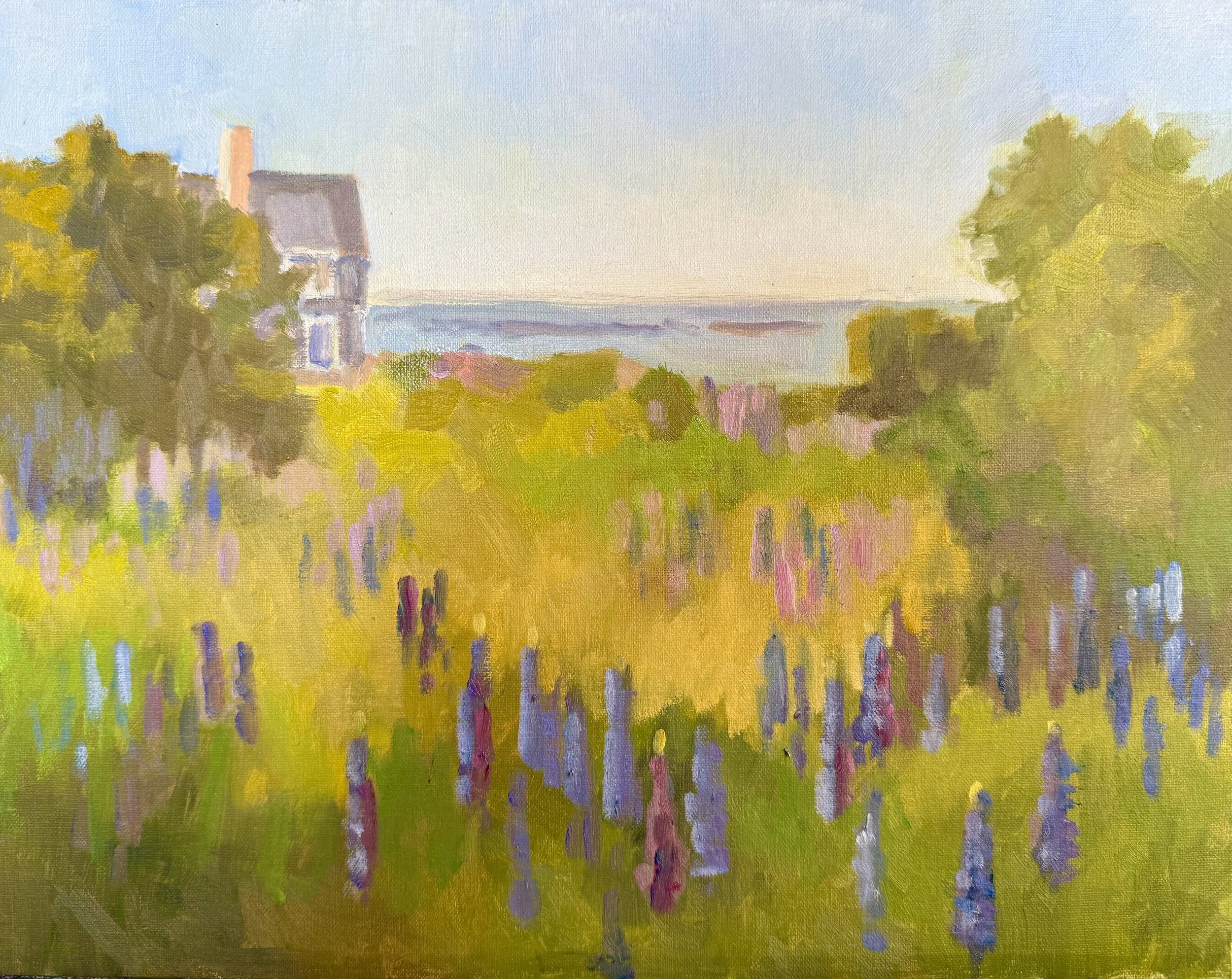 Kittery Point Lupines