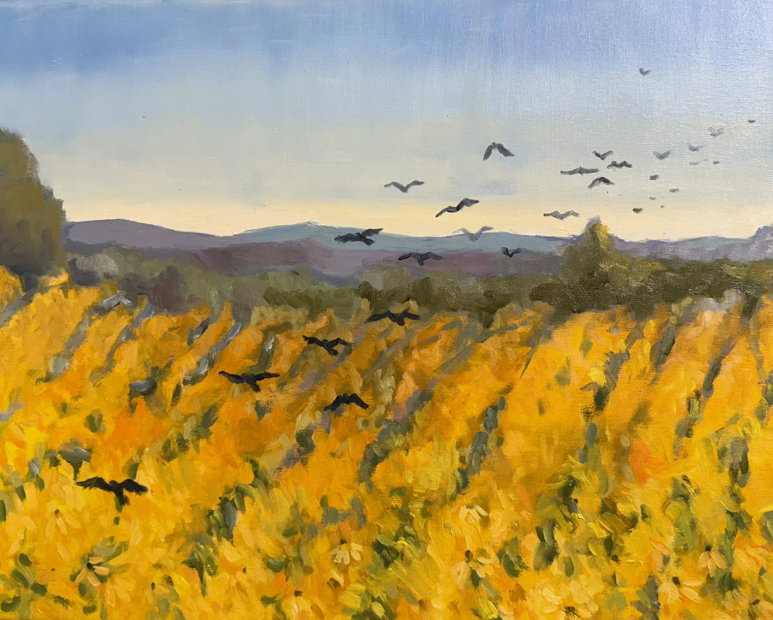 Flower Power , oils, 16x20