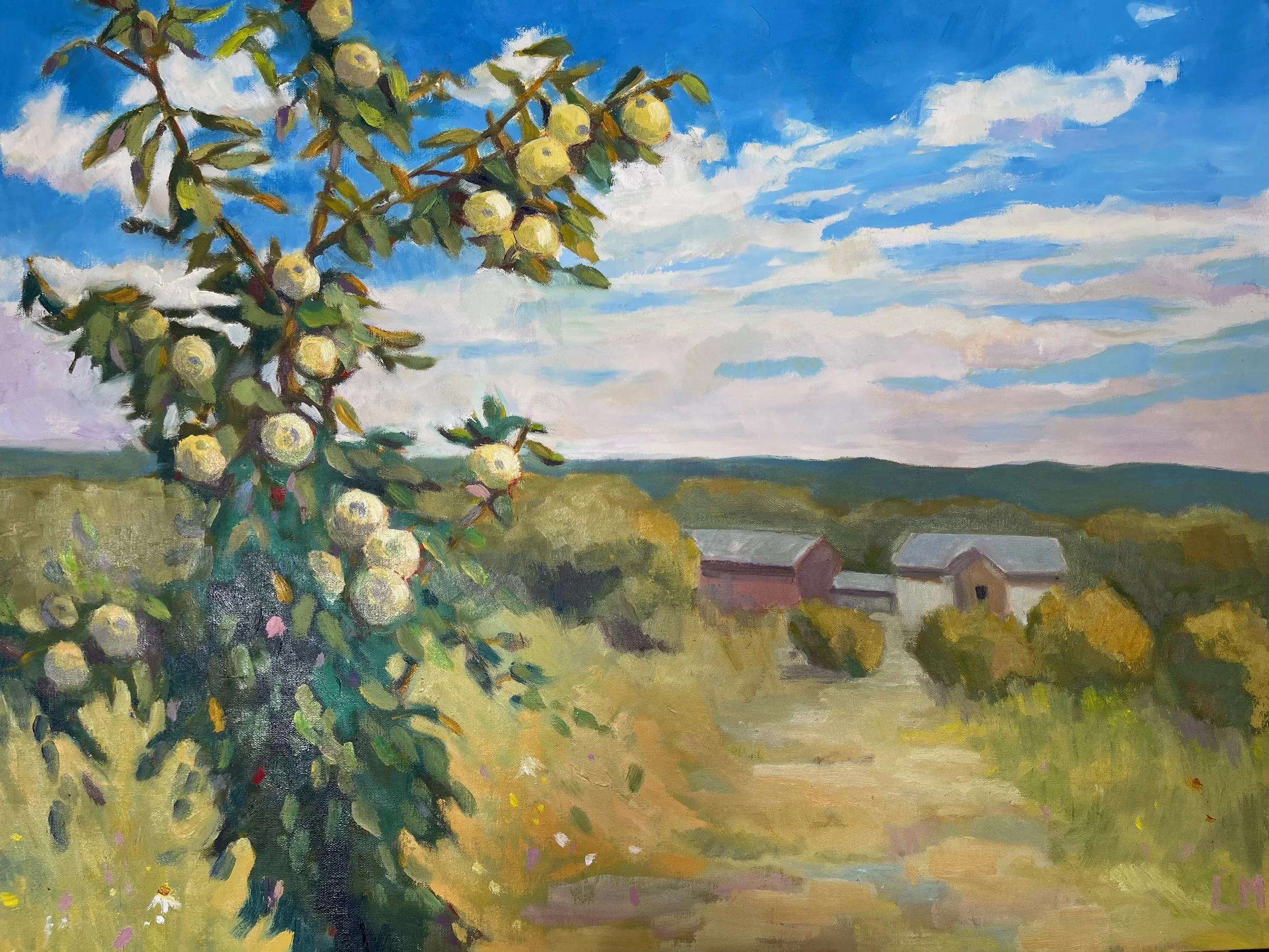 Golden Apple, 18 x 24.jpeg