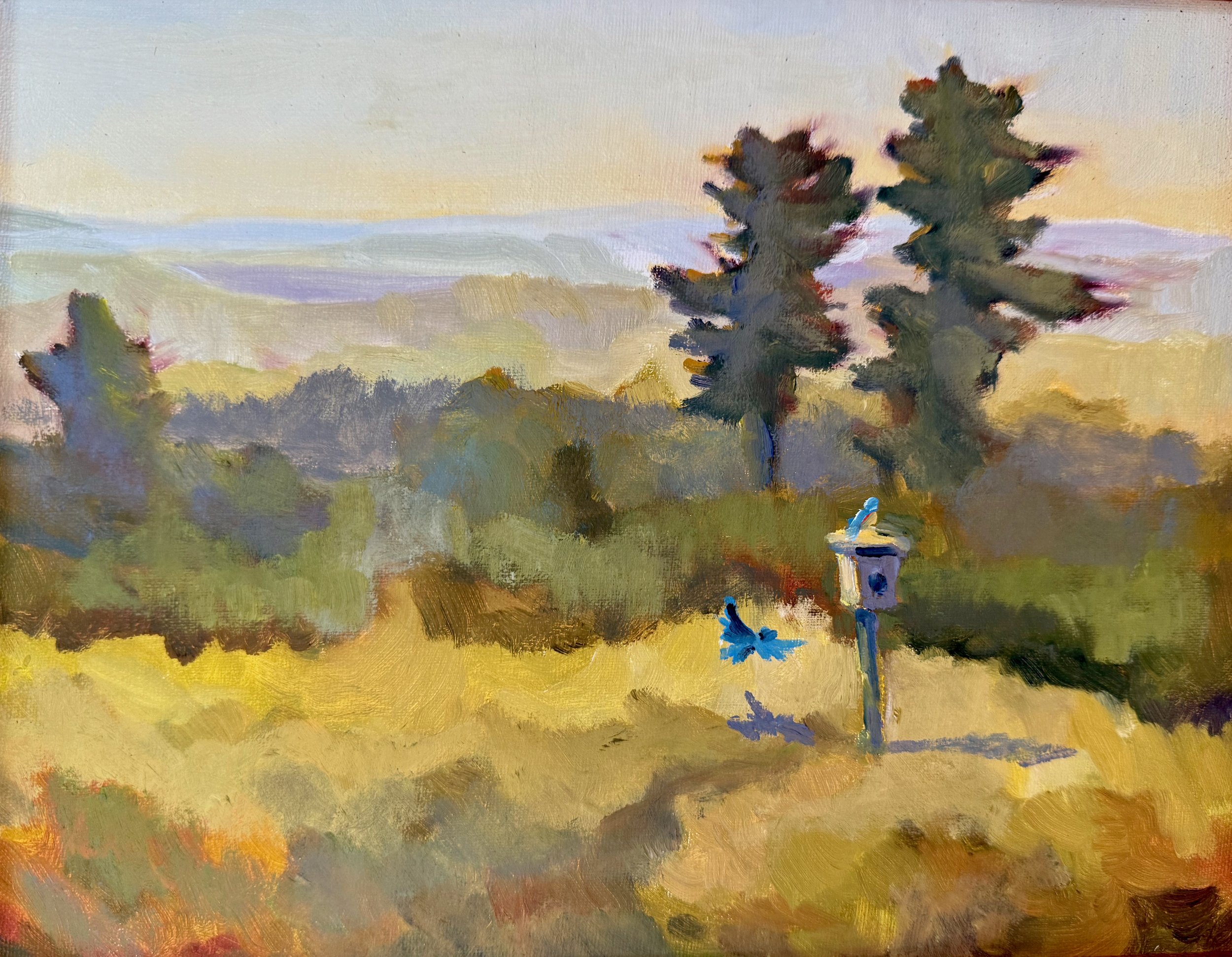 Mountain Home (1).jpeg