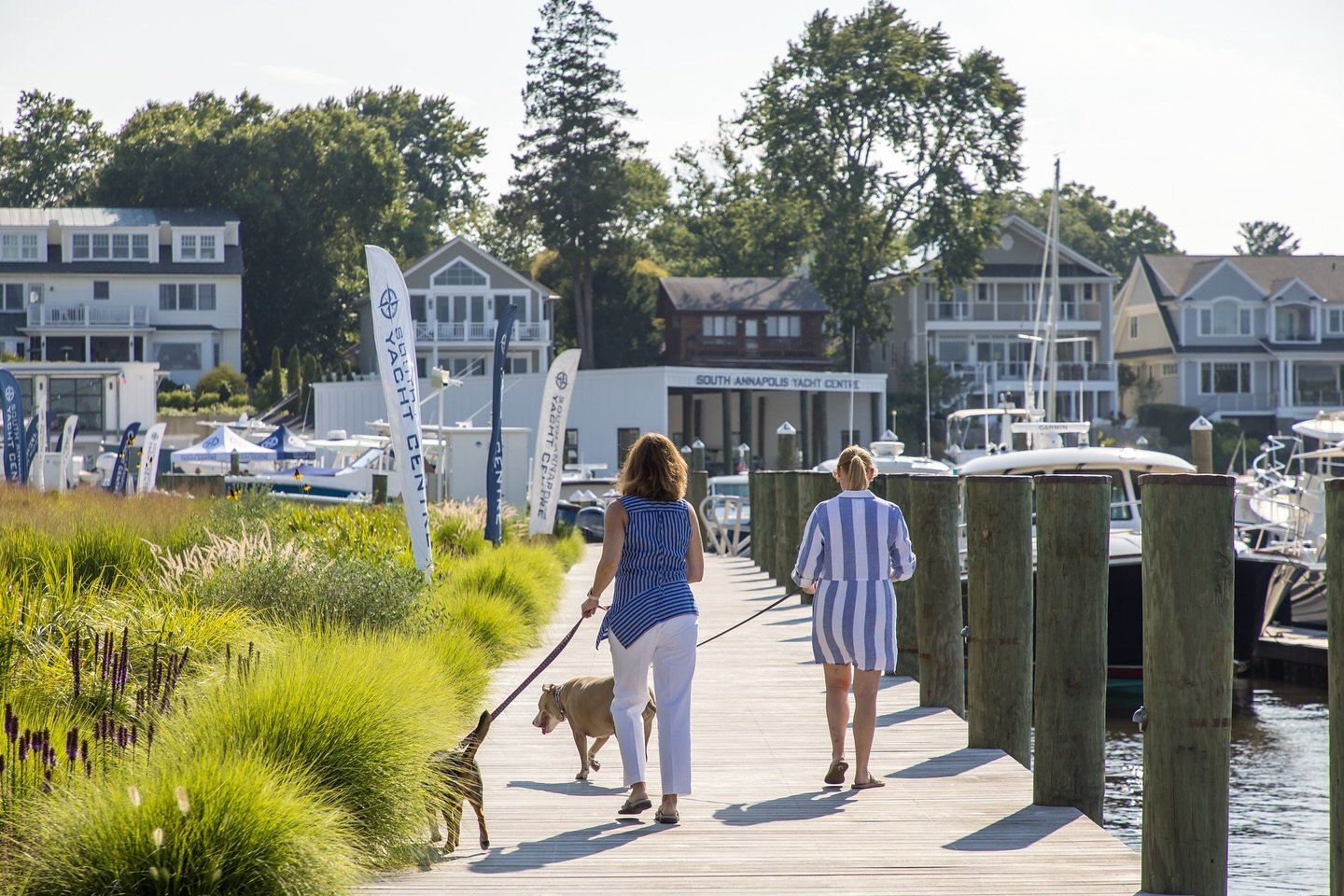 Happy Earth Day from SAYC ☀️🌱🌷

📸: @mattryb 

#lifeatsayc #earthday #visitannapolis #spring #earthdayannapolis #landscaping #sustainablemarina