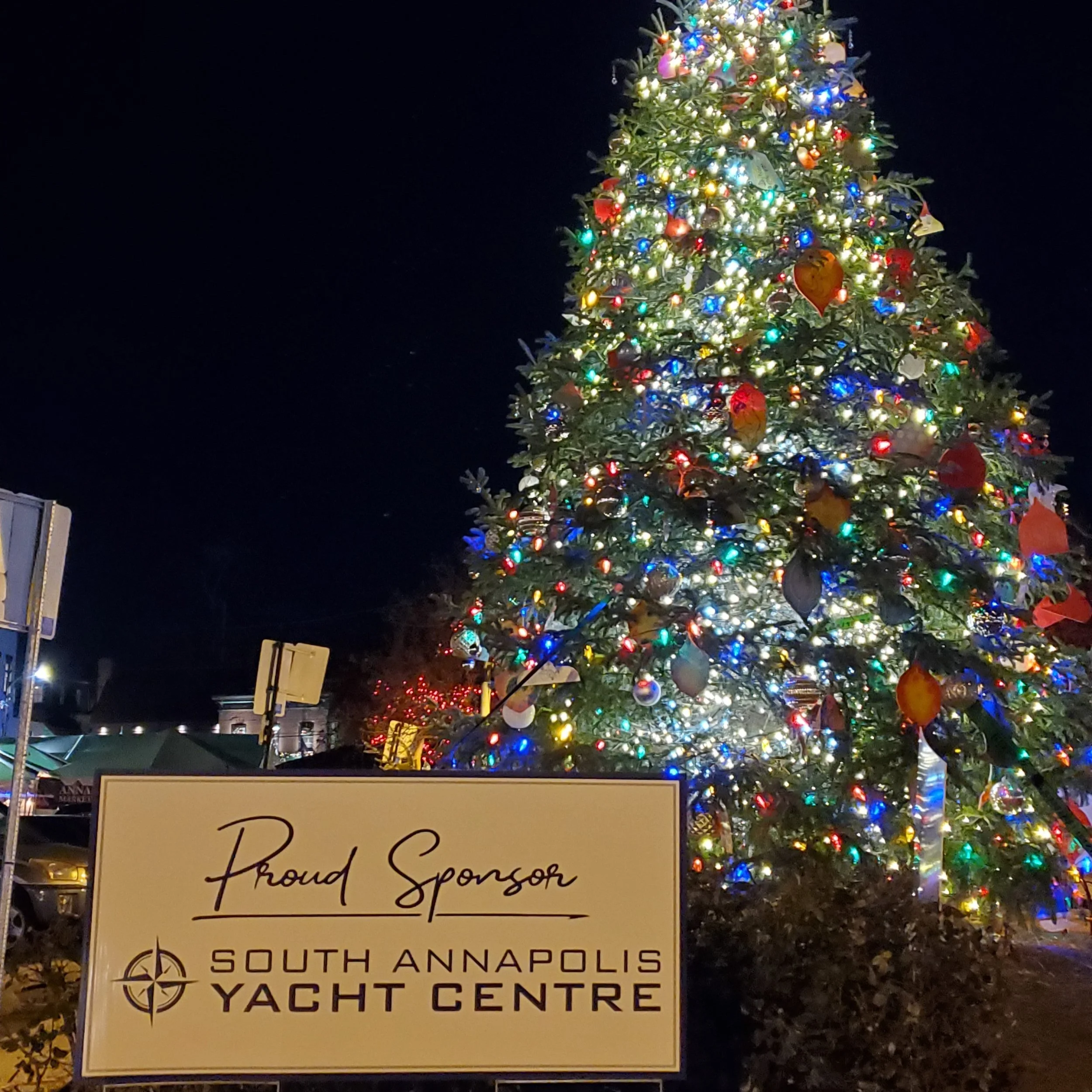 SAYC Sponsors Christmas Tree at Market Space & Launches Holiday Toy