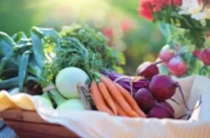 mmmmm...vegetables