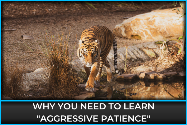 Why You Need To Learn "Aggressive Patience"