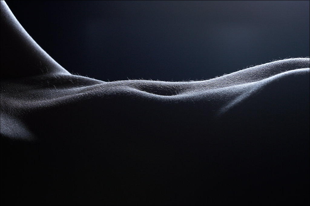 Body Landscapes