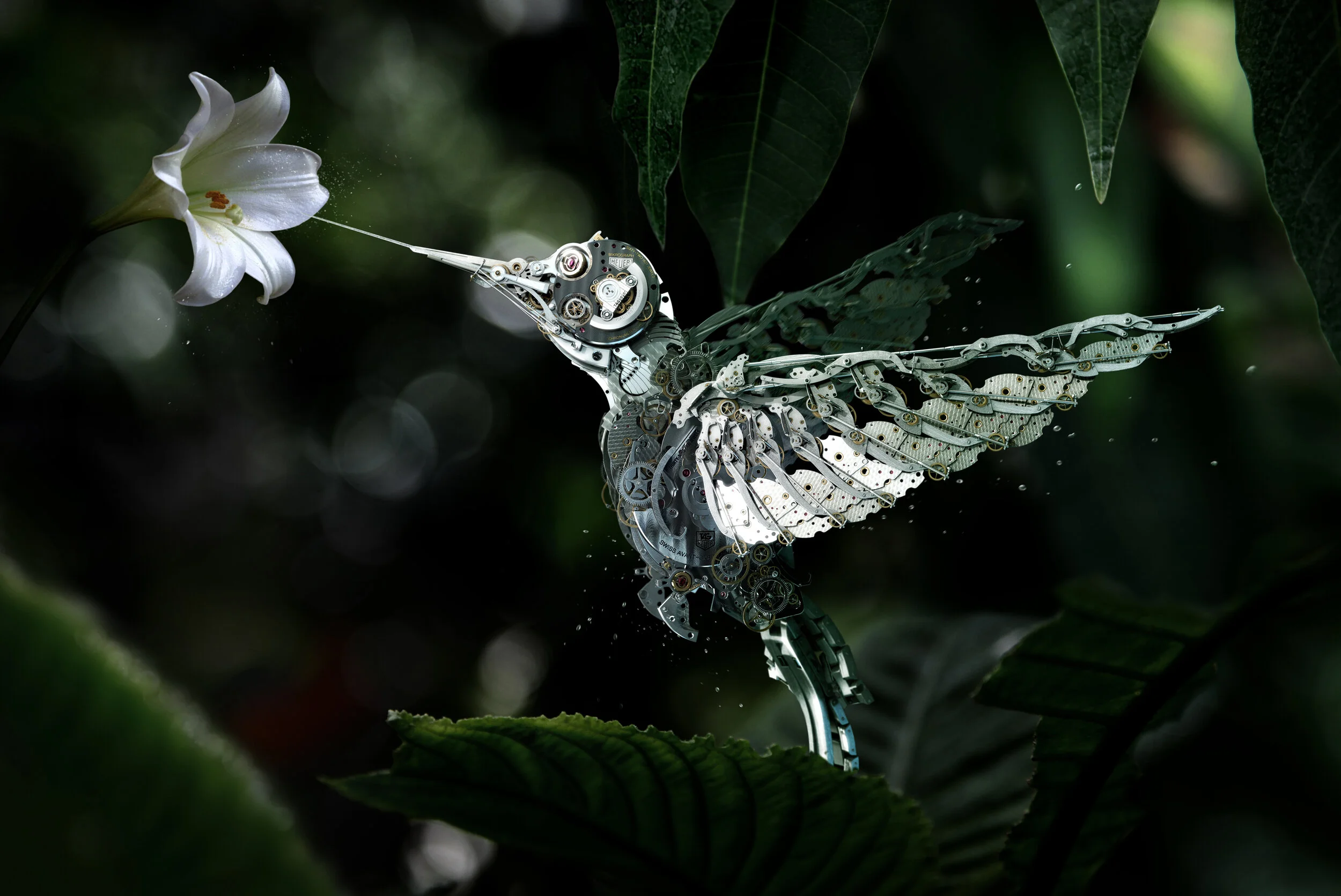 TAG-HEUER_colibri.jpg
