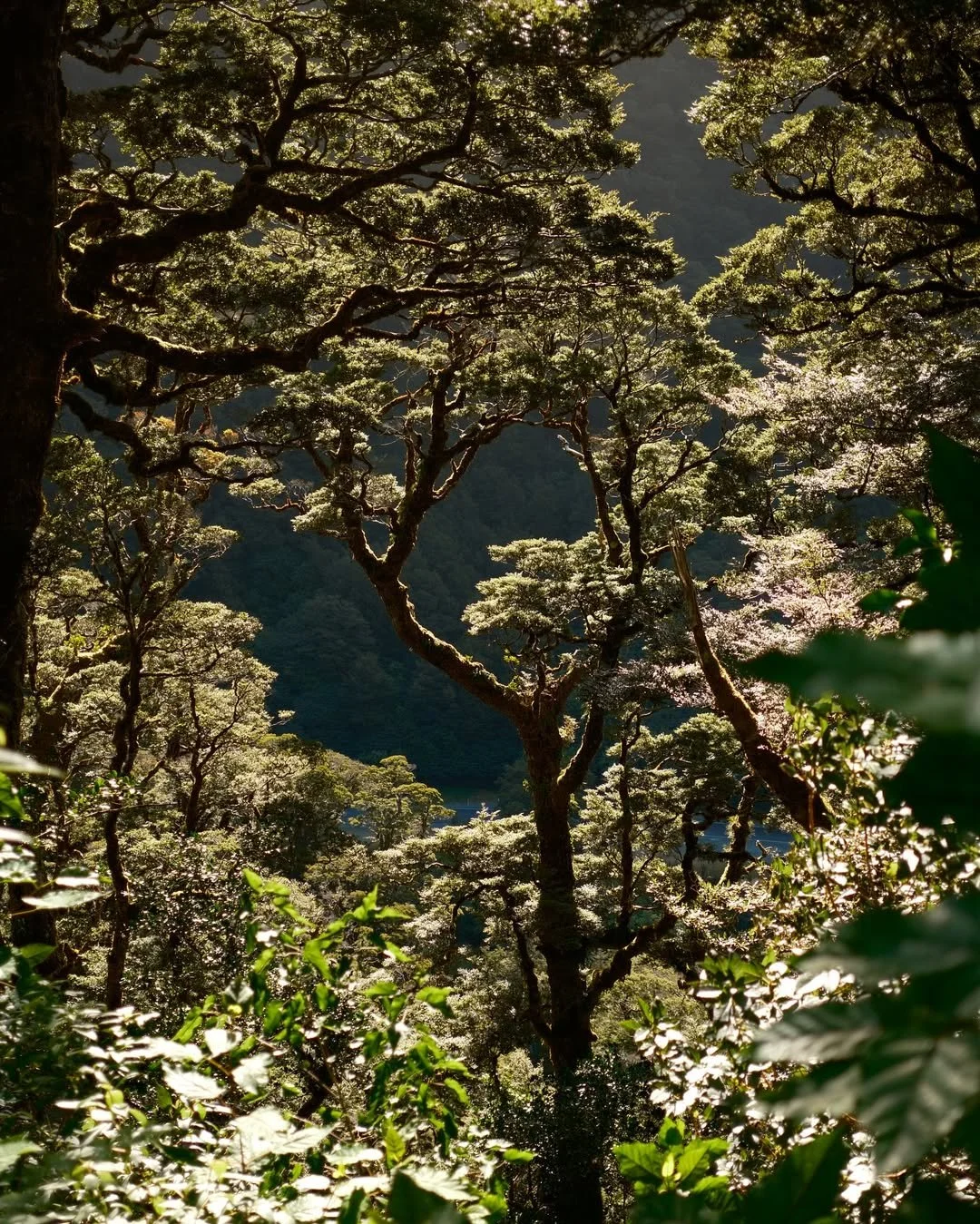 photo15.jpg