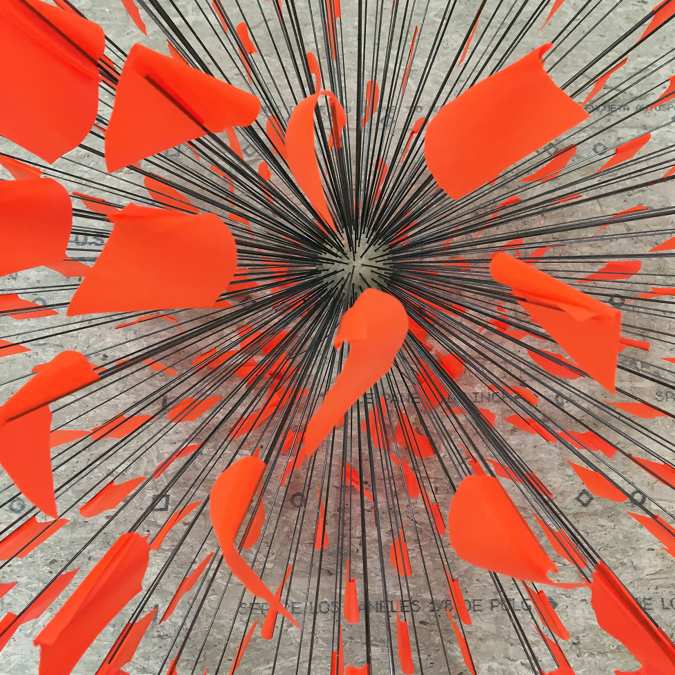 Mine, Mine, Mine, (detail) 2018