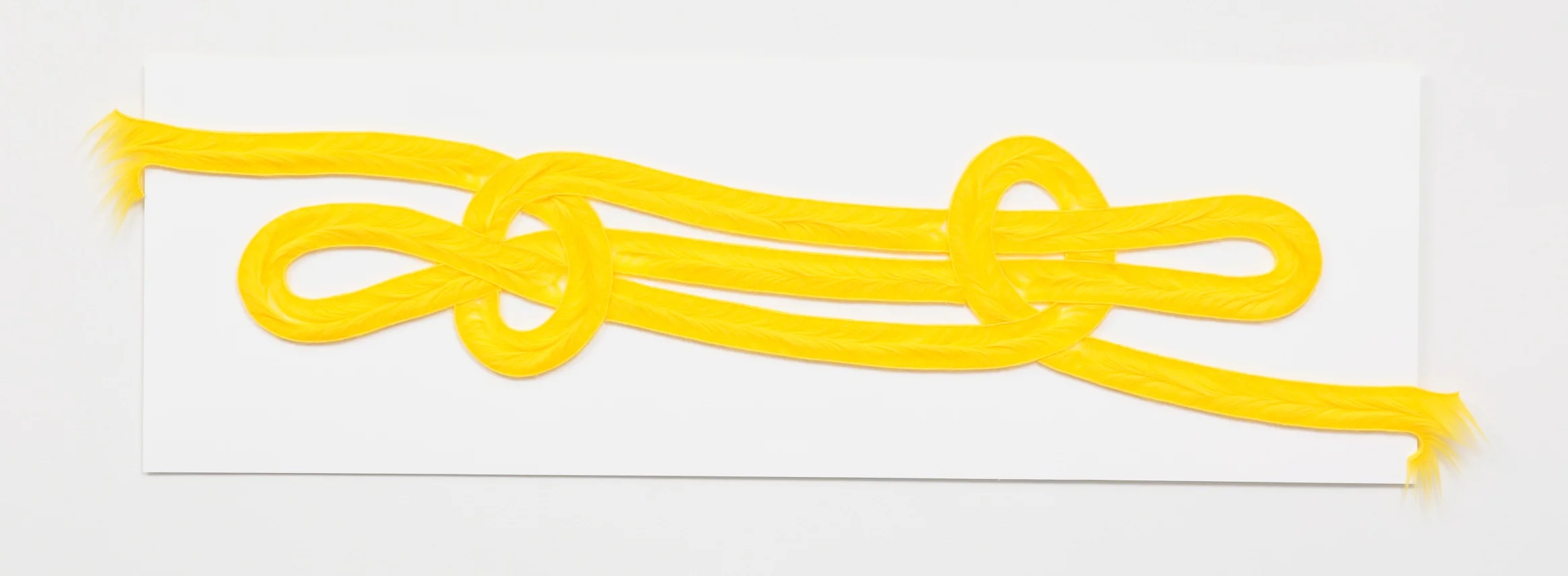 Smith’s Sheepshank , 2018, faux fur on paper, 20x42x.5”