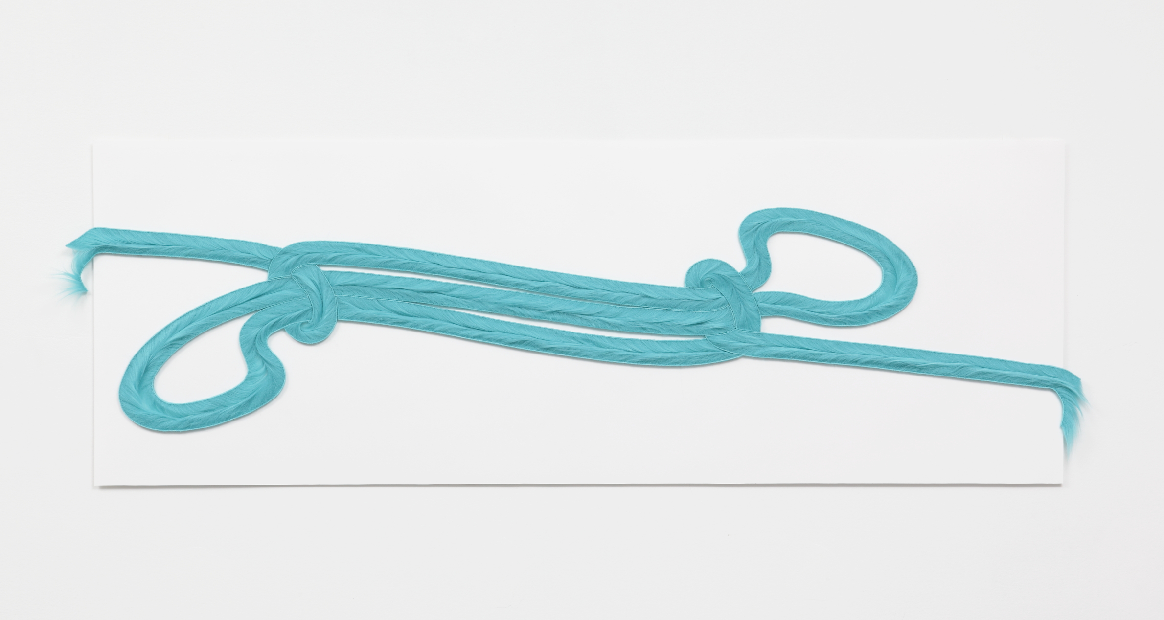 Sheepshank, 2018