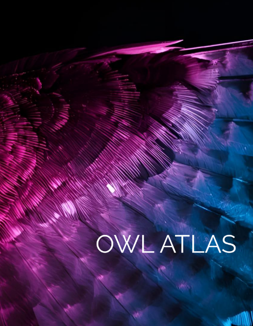 Owl Atlas.png