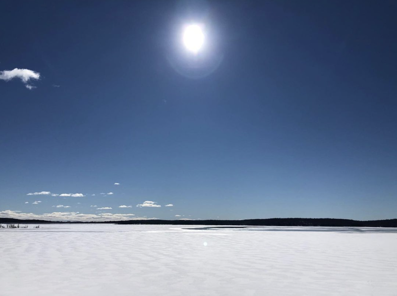 Screen Shot 2023-02-23 at 1.40.12 PM.png