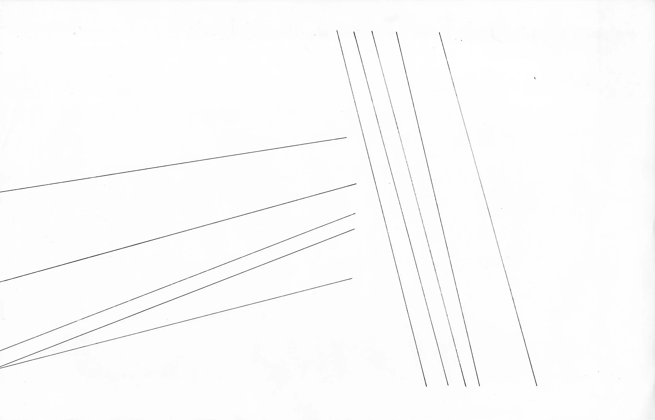 Cammie - Activated Line Drawing.jpg
