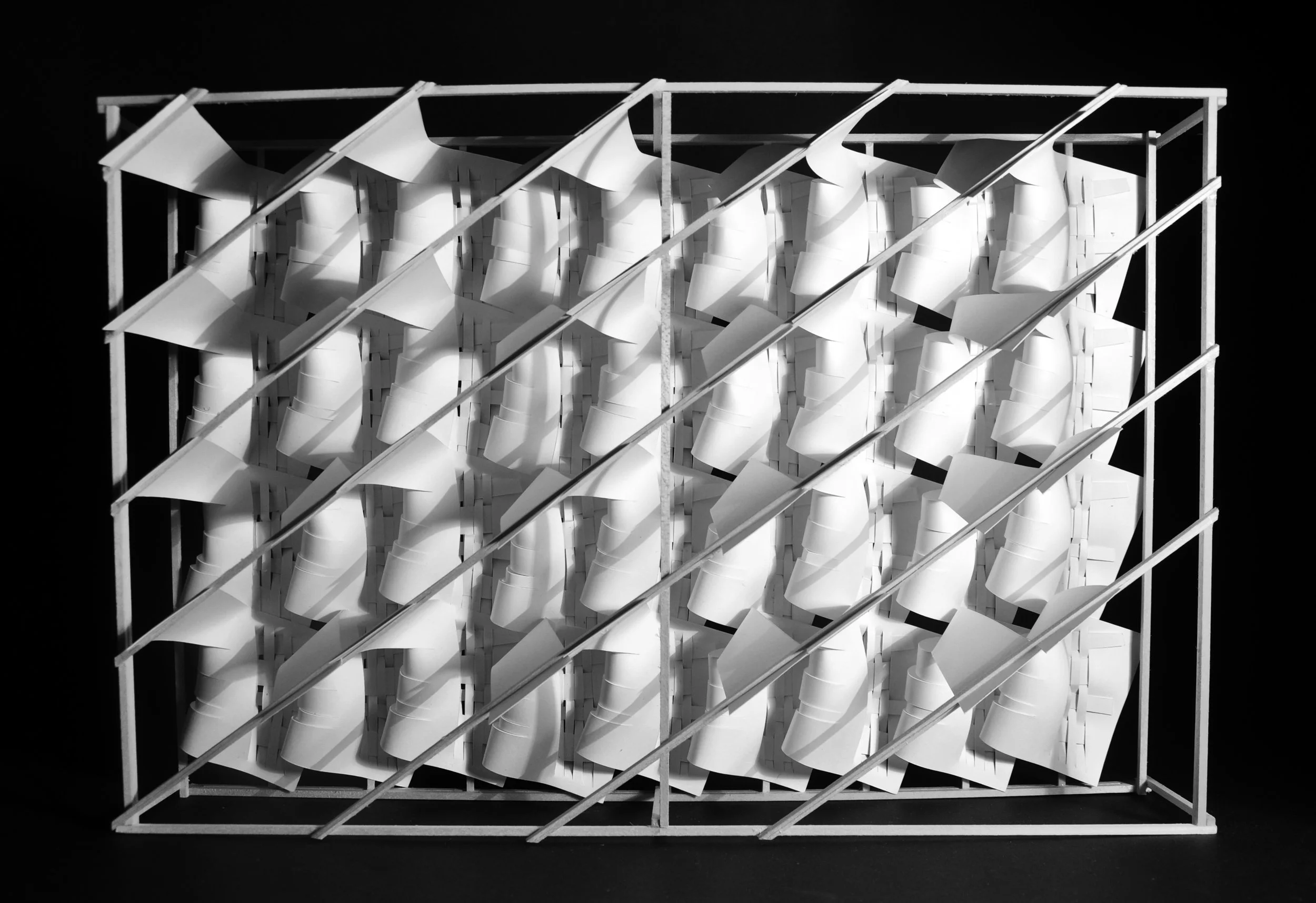 Project 3 - Photo - 2.jpg