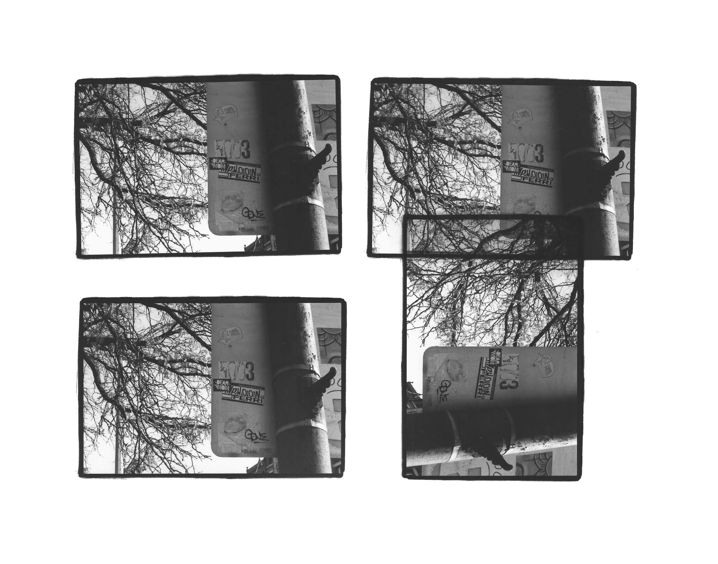 photo project 3.jpg