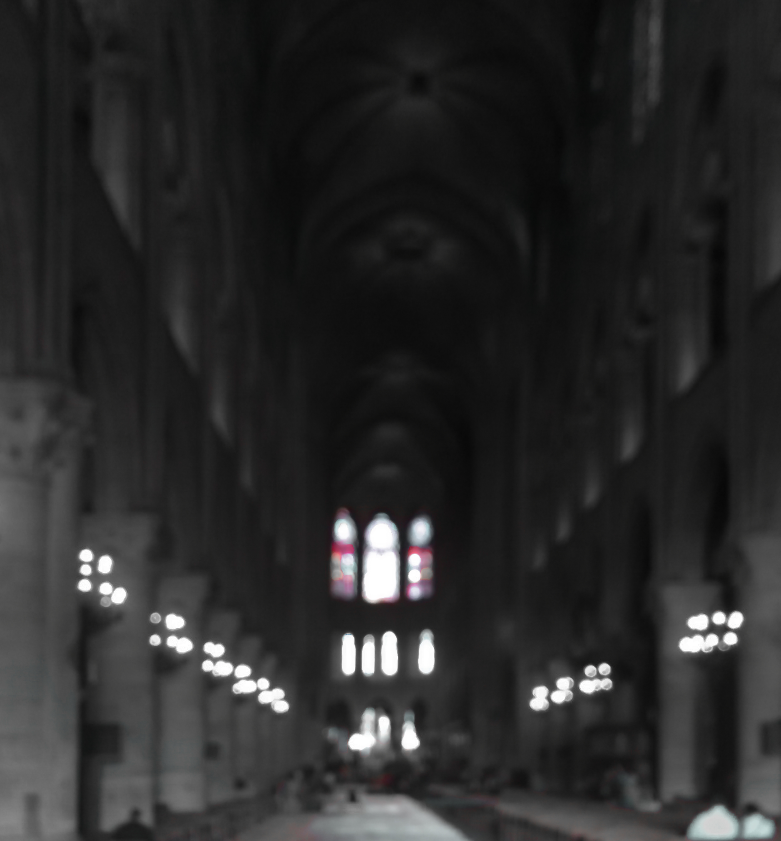 IMG_9778a.png