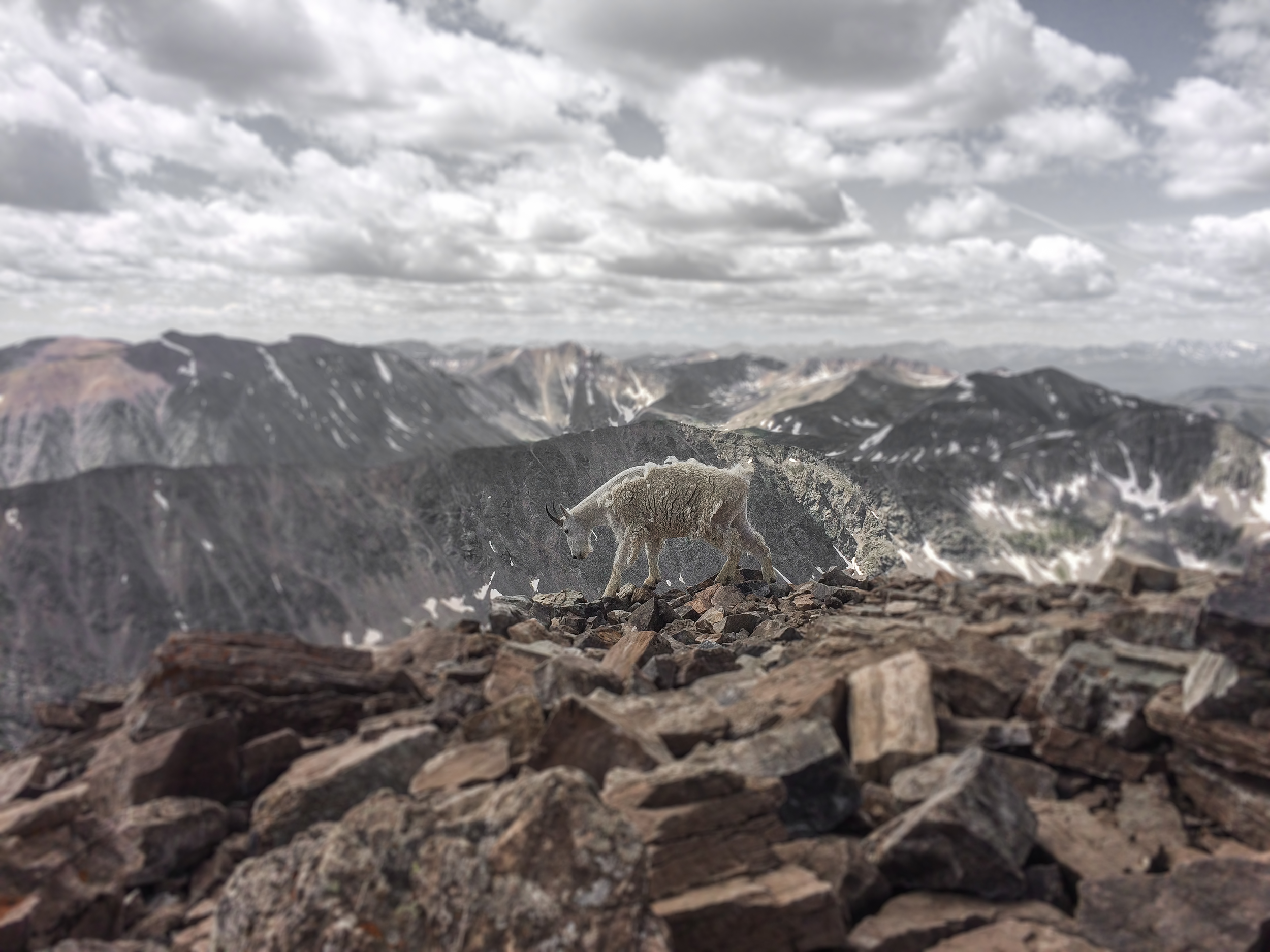 IMG_3022 - Copy-6a.png