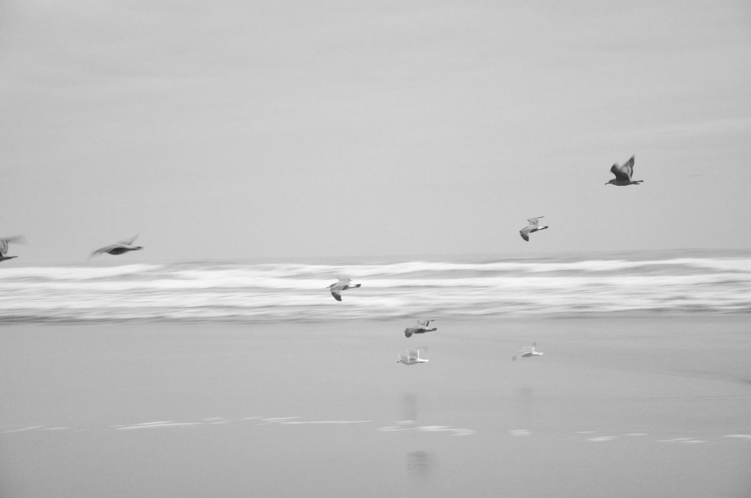 DSC_0964-3a.png