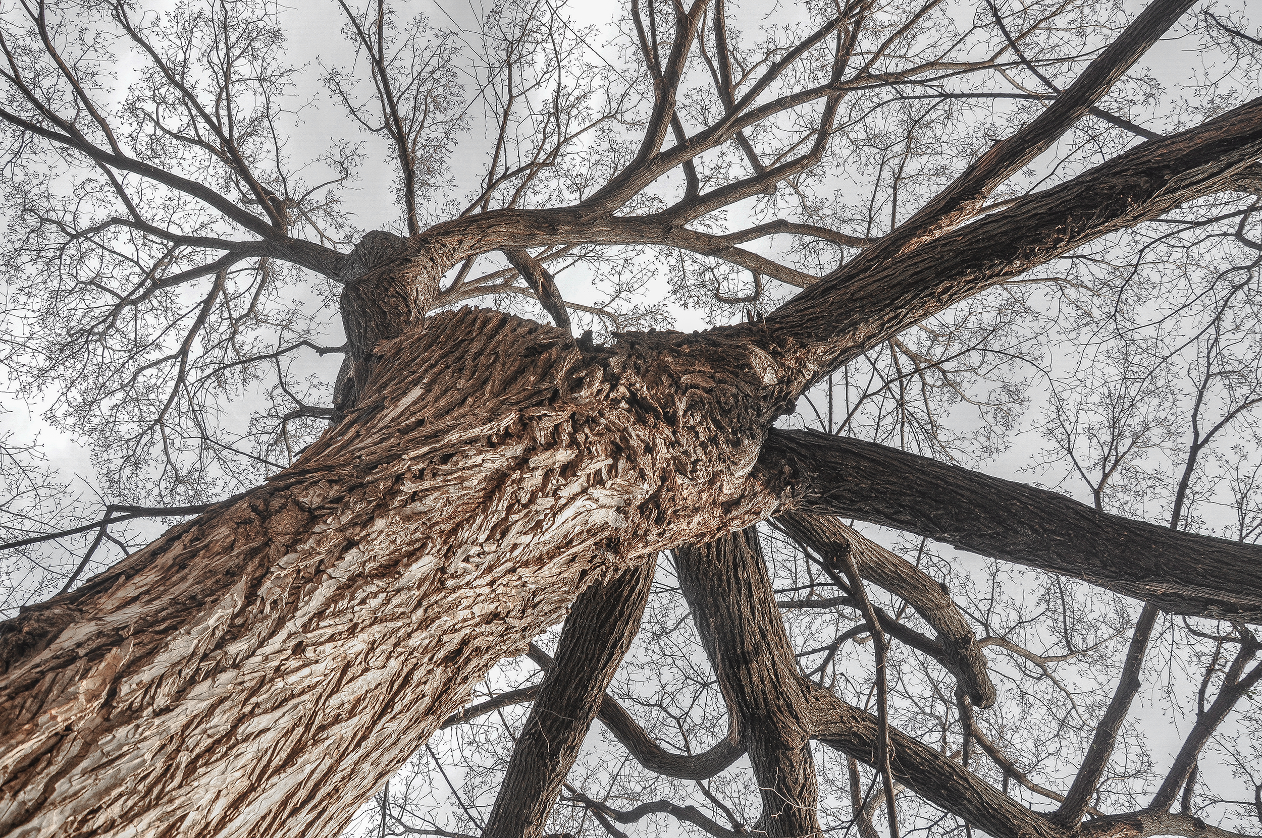 DSC_0518-2a.png