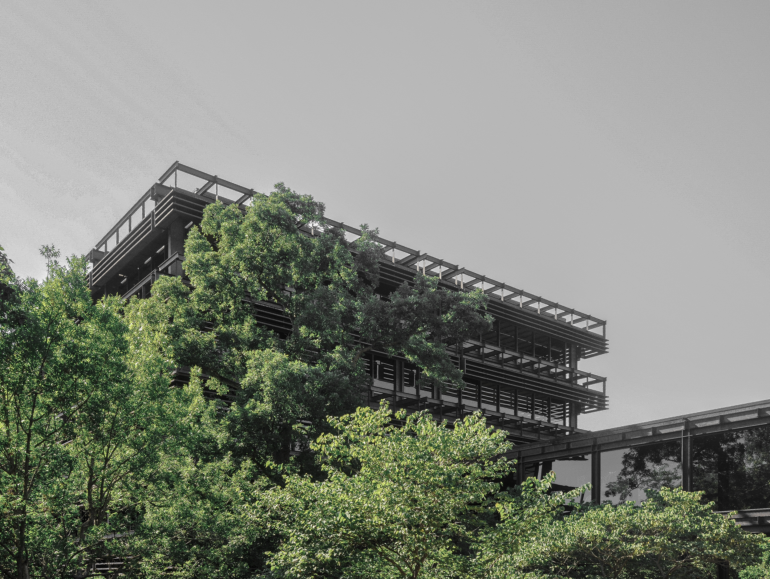 DSC_0624 - Copy-3a.png