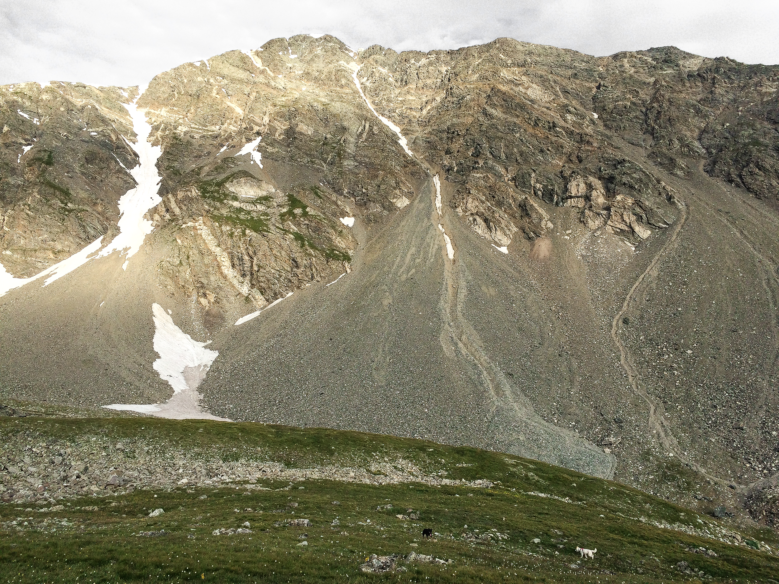 IMG_3231 - Copy-2a.png