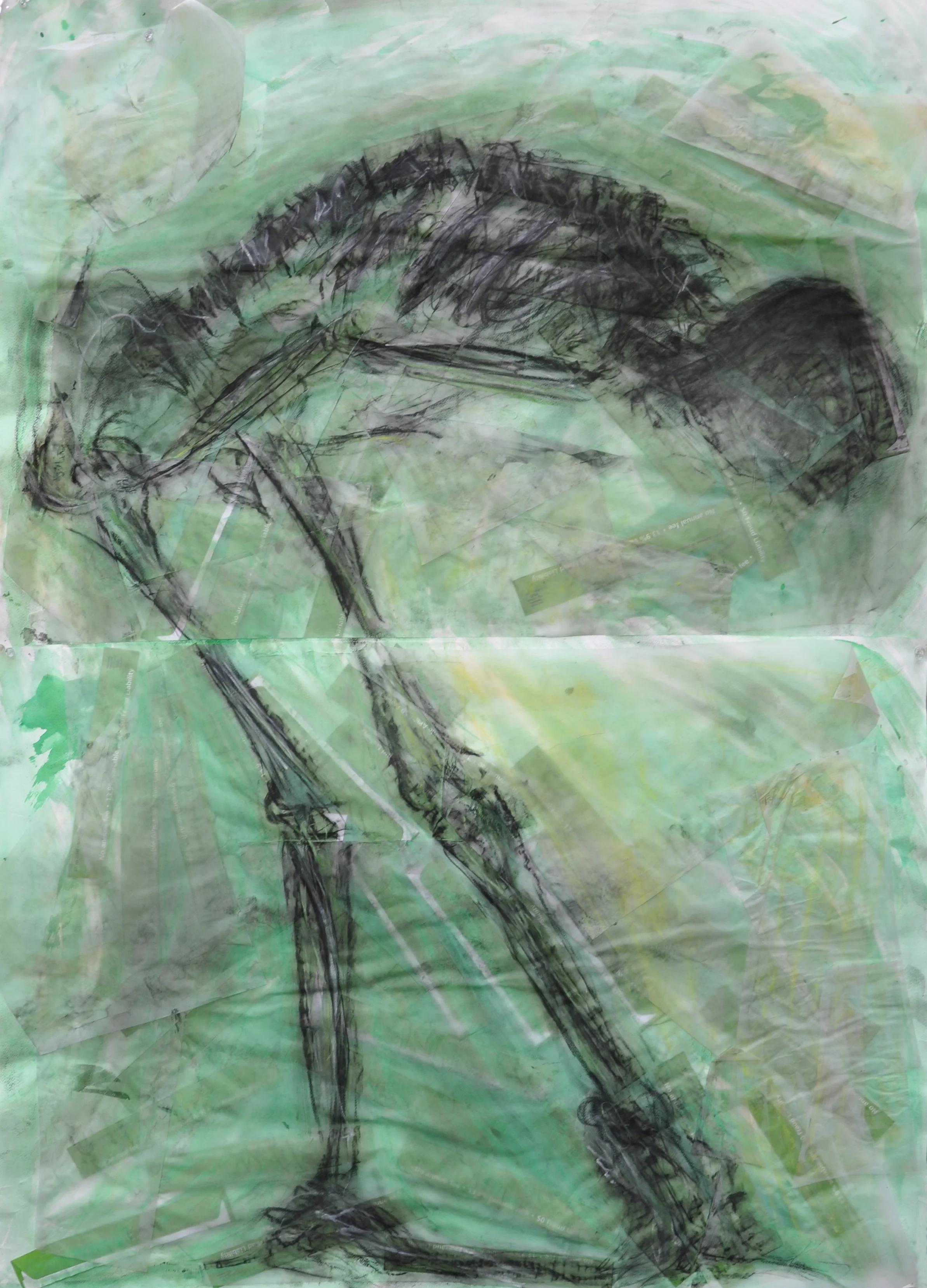 Life Drawing - Final Project, Spring 2008.jpg