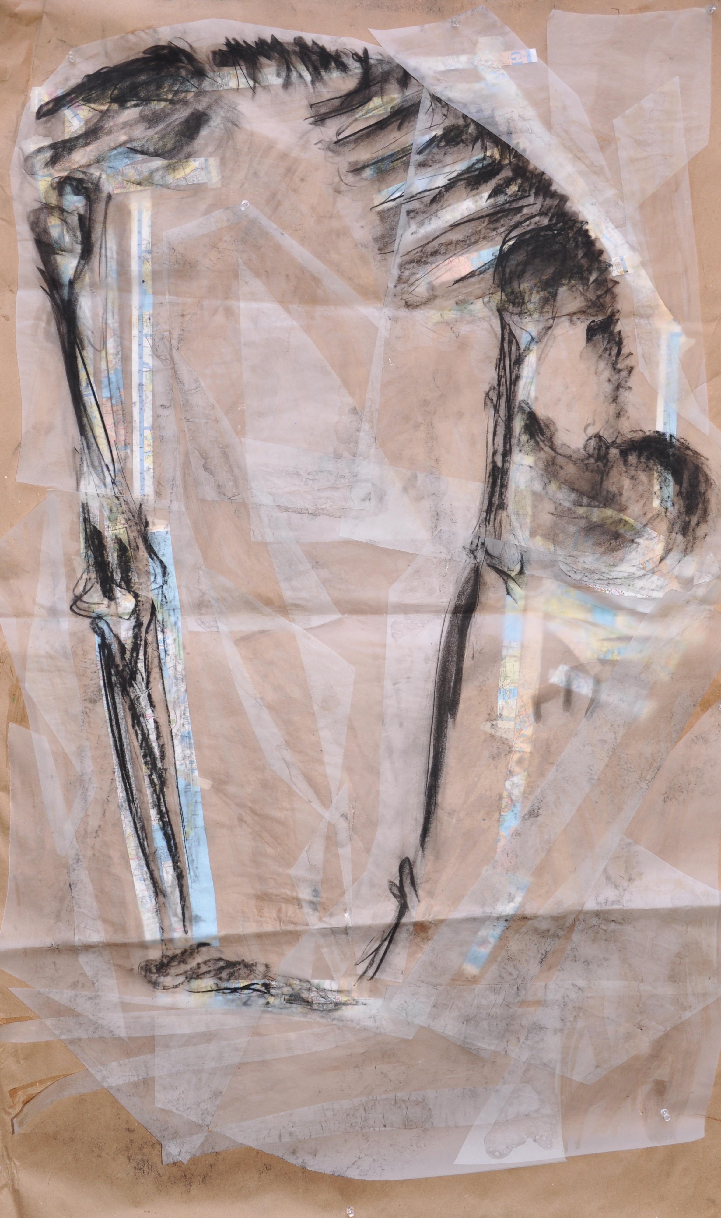 Life Drawing - Map Skeleton, Spring 2008.jpg