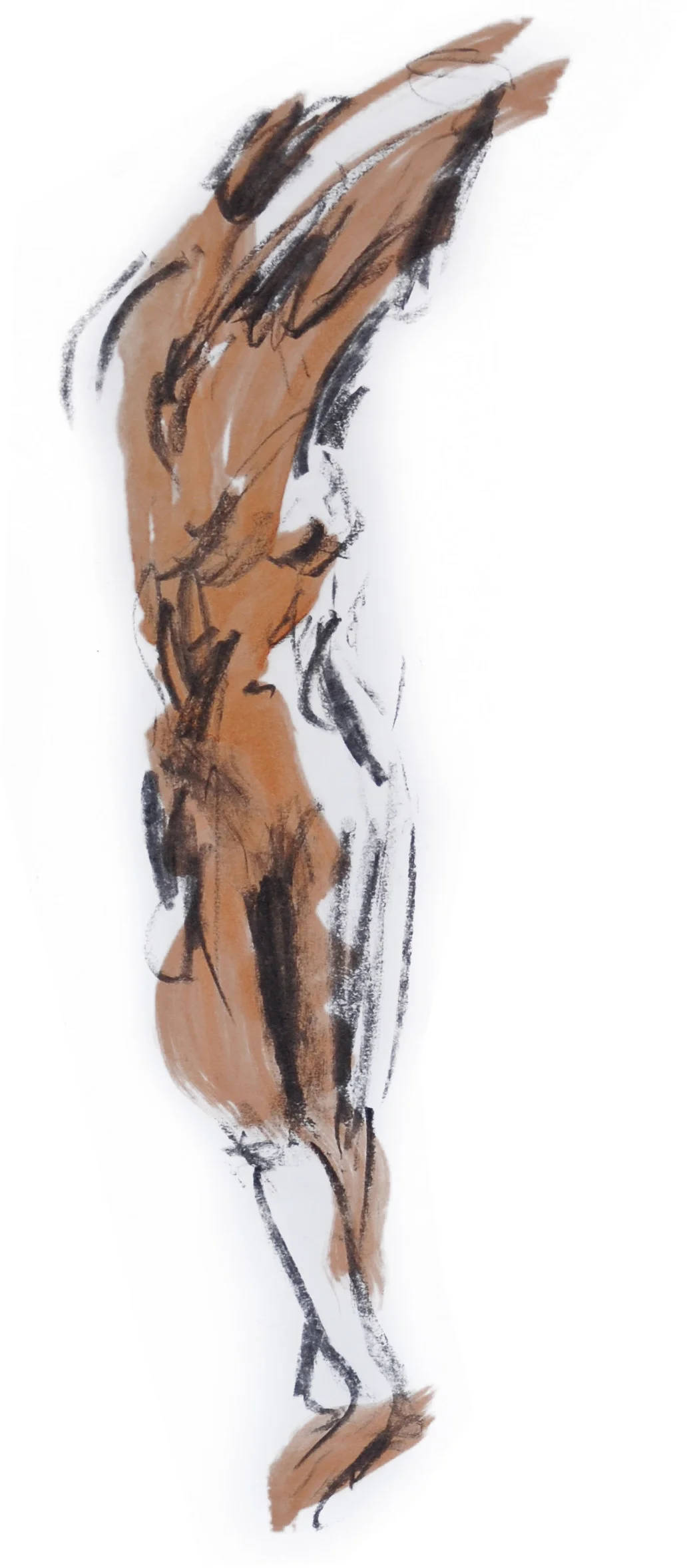 Life Drawing - Nude Sketches 2, Spring 2008 a.jpg