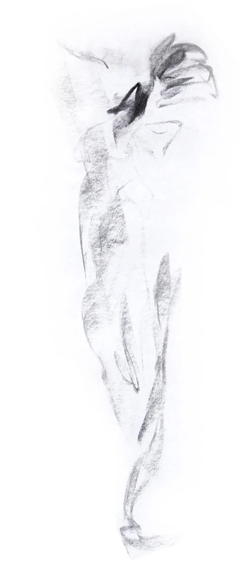 Life Drawing - Nude Sketches, Spring 2008 B.jpg