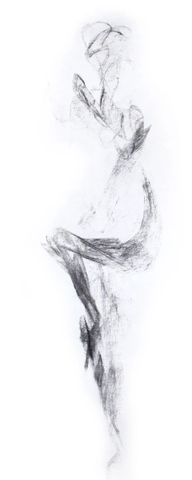 Life Drawing - Nude Sketches, Spring 2008 F.jpg