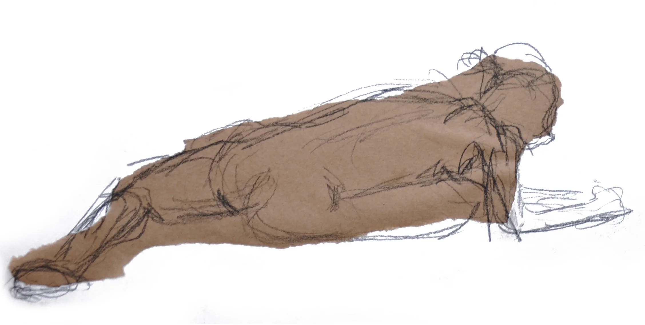 Nude Sketch 1, Fall 2007 c.jpg