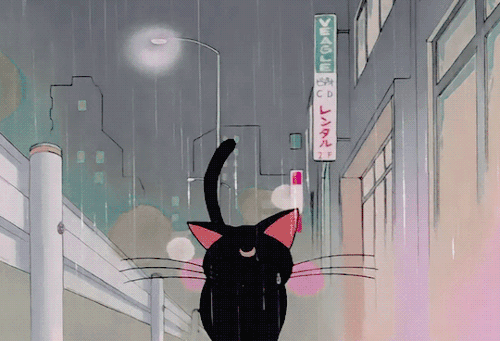 An animated gif from Sailor Moon in which Luna, a black cat, stands on a city street, being rained on.