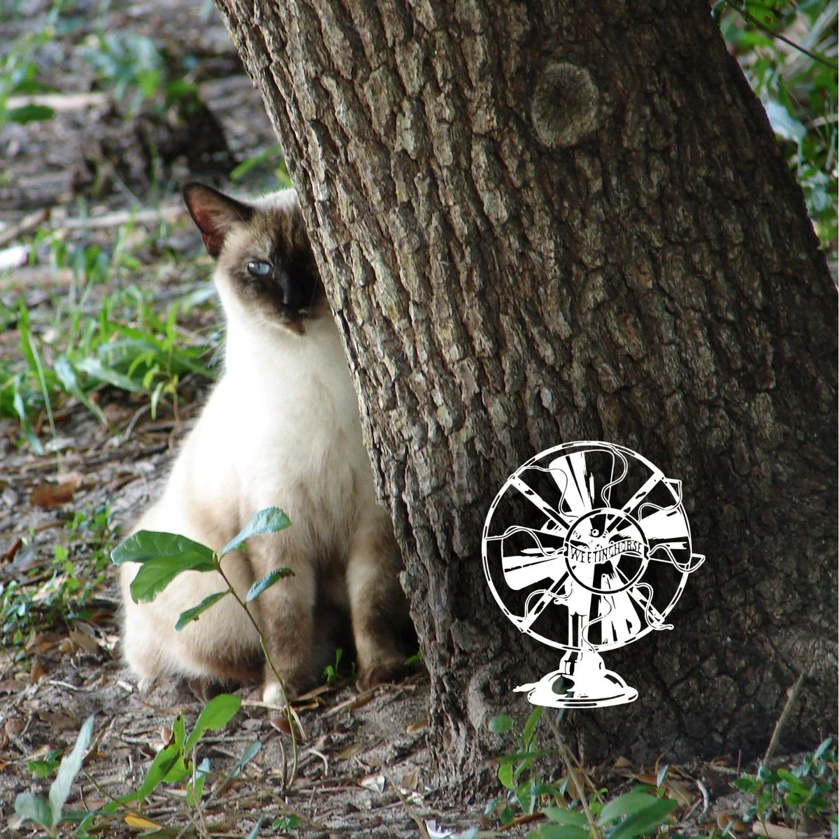 Special Episode 8’s cover: a Siamese cat lurks behind a tree.