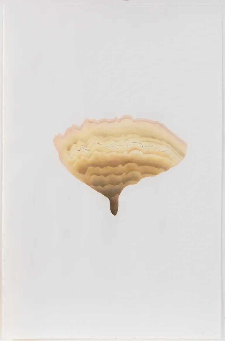 Artemis I, 1979