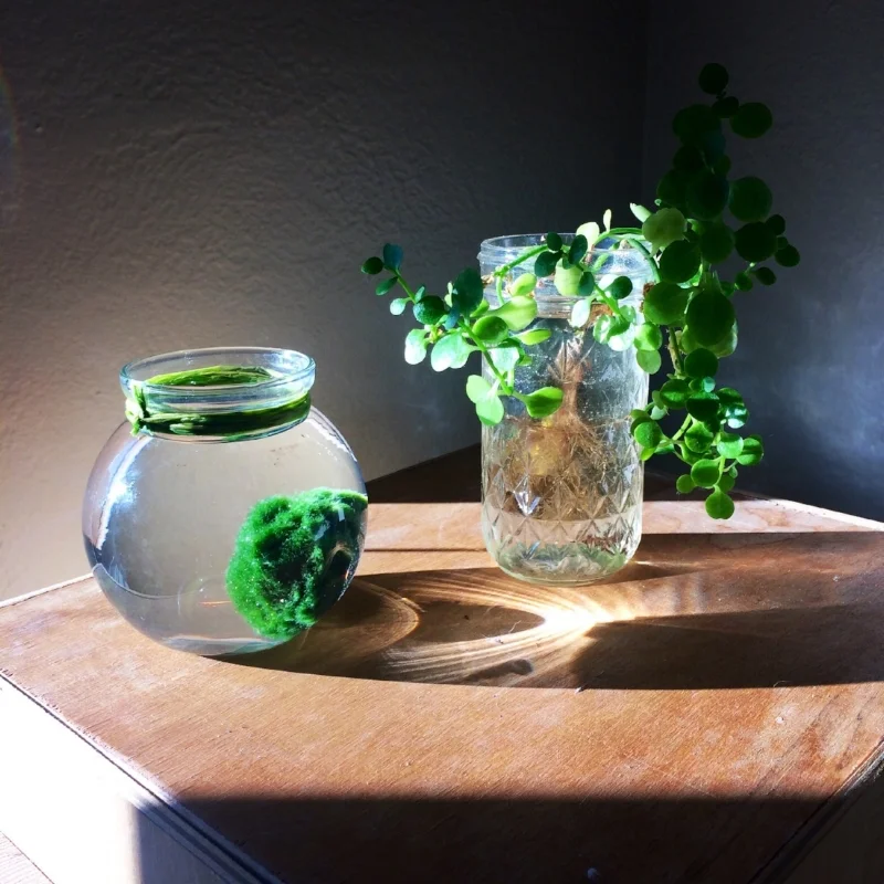 The vital importance of feeling worthy.