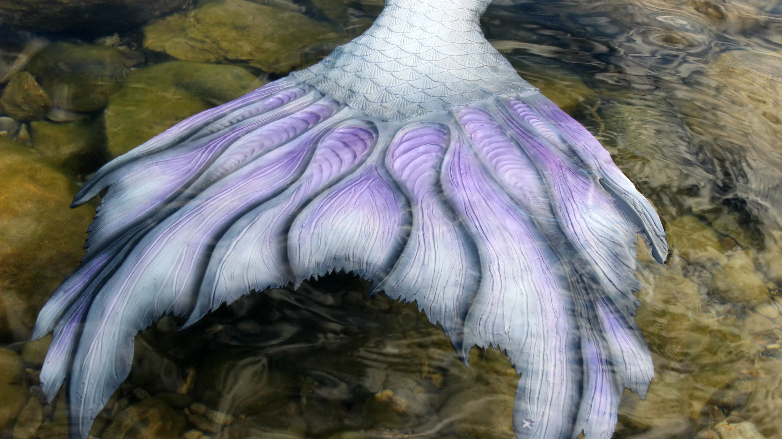 Mermaid-Phantoms-Mermaid-Tail-in-Water-Edit.jpg