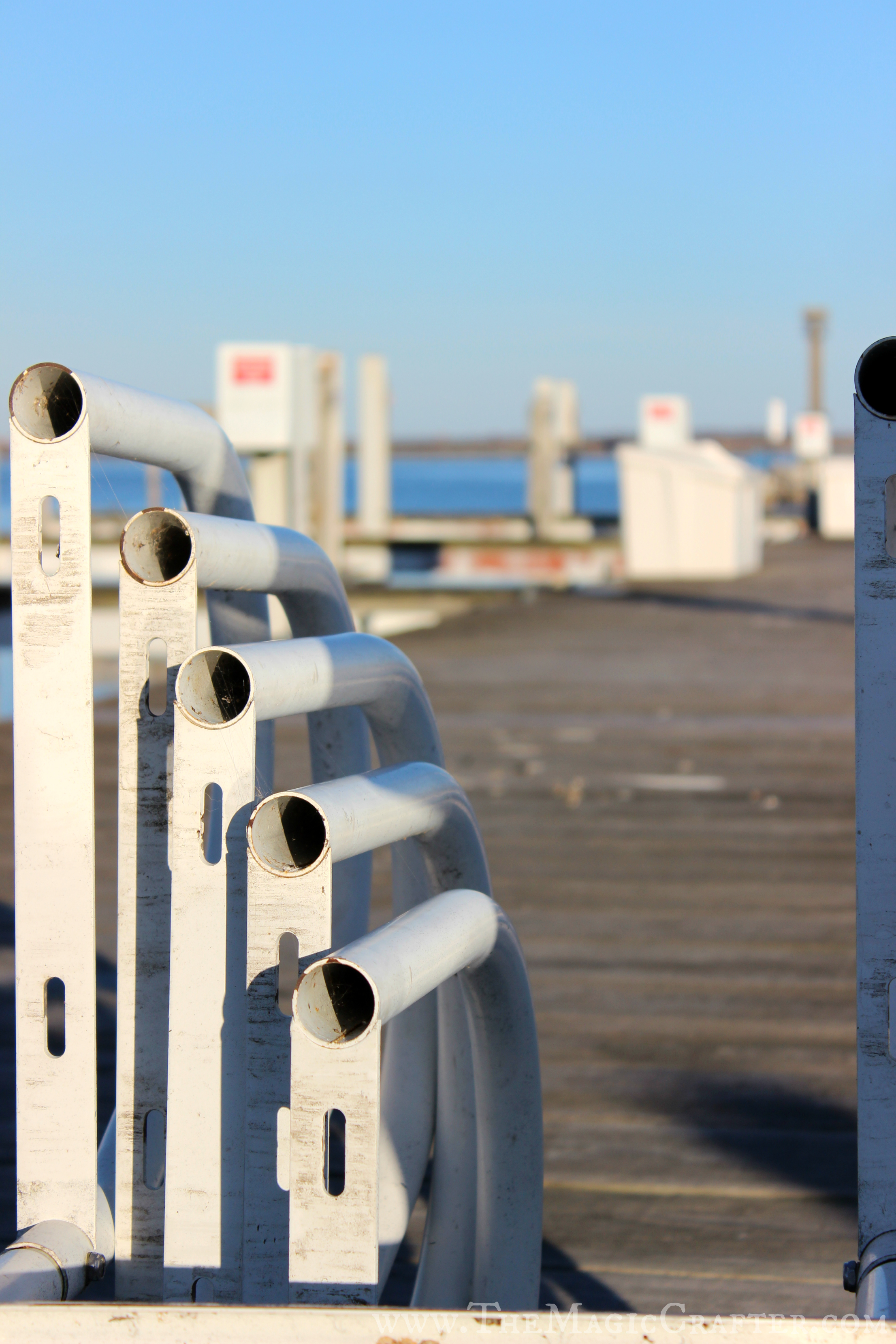 I'm not sure what these things were, but I found them fascinating! I think they may be part of a ladder used to get in and out of the water?