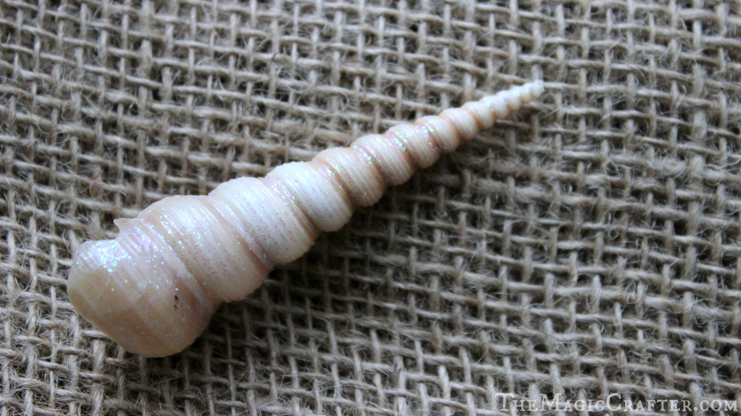 A layer or two (or as many as you want!) of the " Sugar Cube " Multi-surface acrylic crafting paint looks great on any seashell... no matter the size or type! It makes them look so magical!!