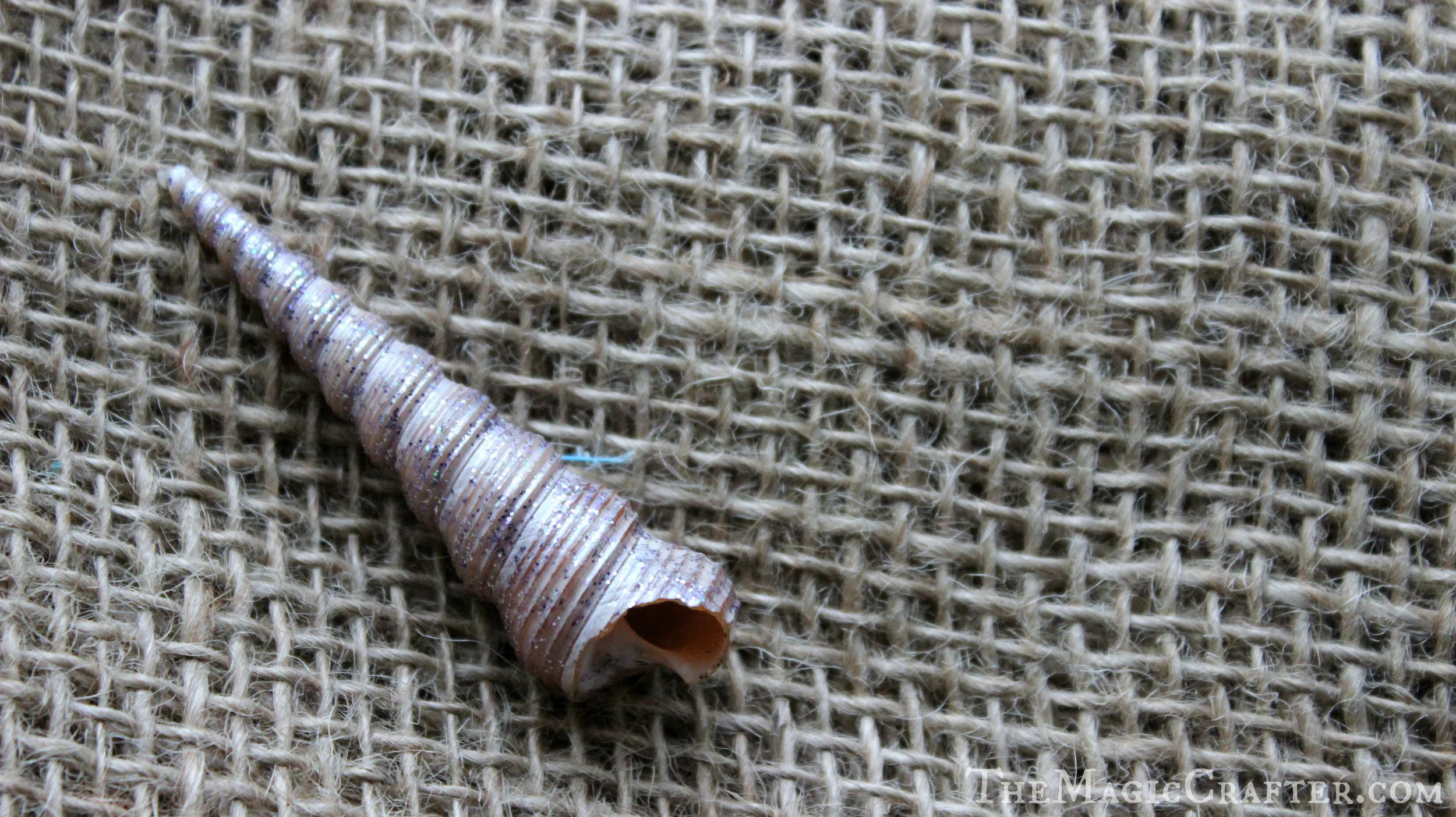 At first, I didn't really care for the look of the " Purple Sapphire " Glitter paint by Martha Stewart Crafts, but after using it for a bit, it really grew on me! It adds a nice touch of color to your shells without looking too bold and sparkles really nice in the sunlight too.