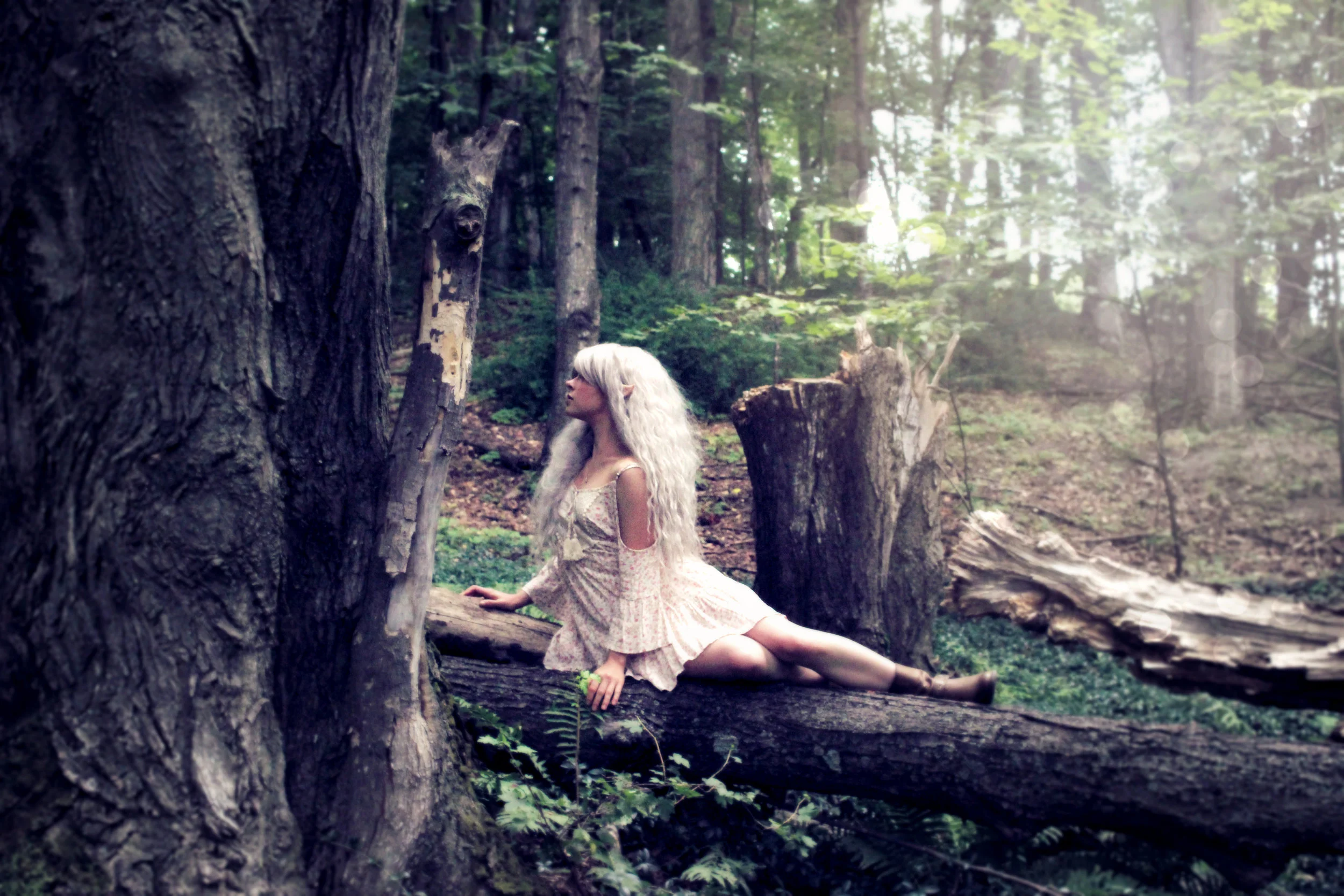 Mermaid Phantom, of The Magic Crafter, can be seen here wearing Latex Elf Ears by Aradani Costumes/ Aradani Studios. The picture shows her in their "Wild Elf" ears in the heart of the woods.