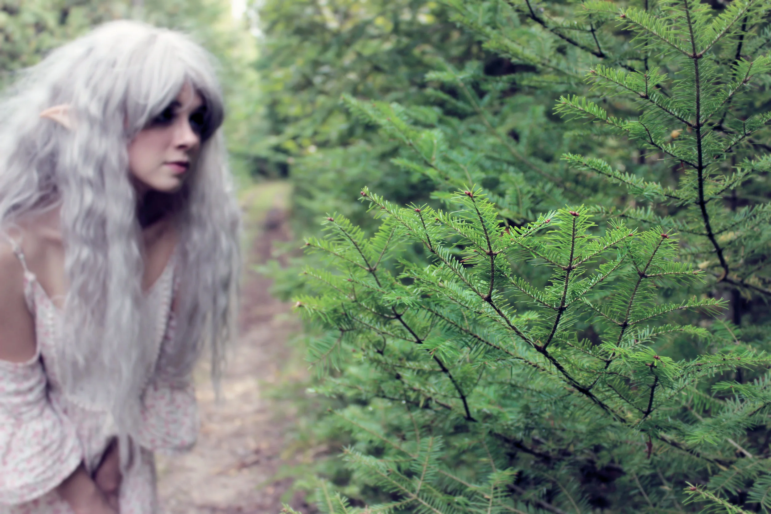 Mermaid Phantom has transformed into an Elf! Look at her pointy ears, from Aradani Costumes! When she is an elf, her hair remains unchanged. She looks just like her mermaid self, but out of water (and with pointy ears). She loves exploring the forests.