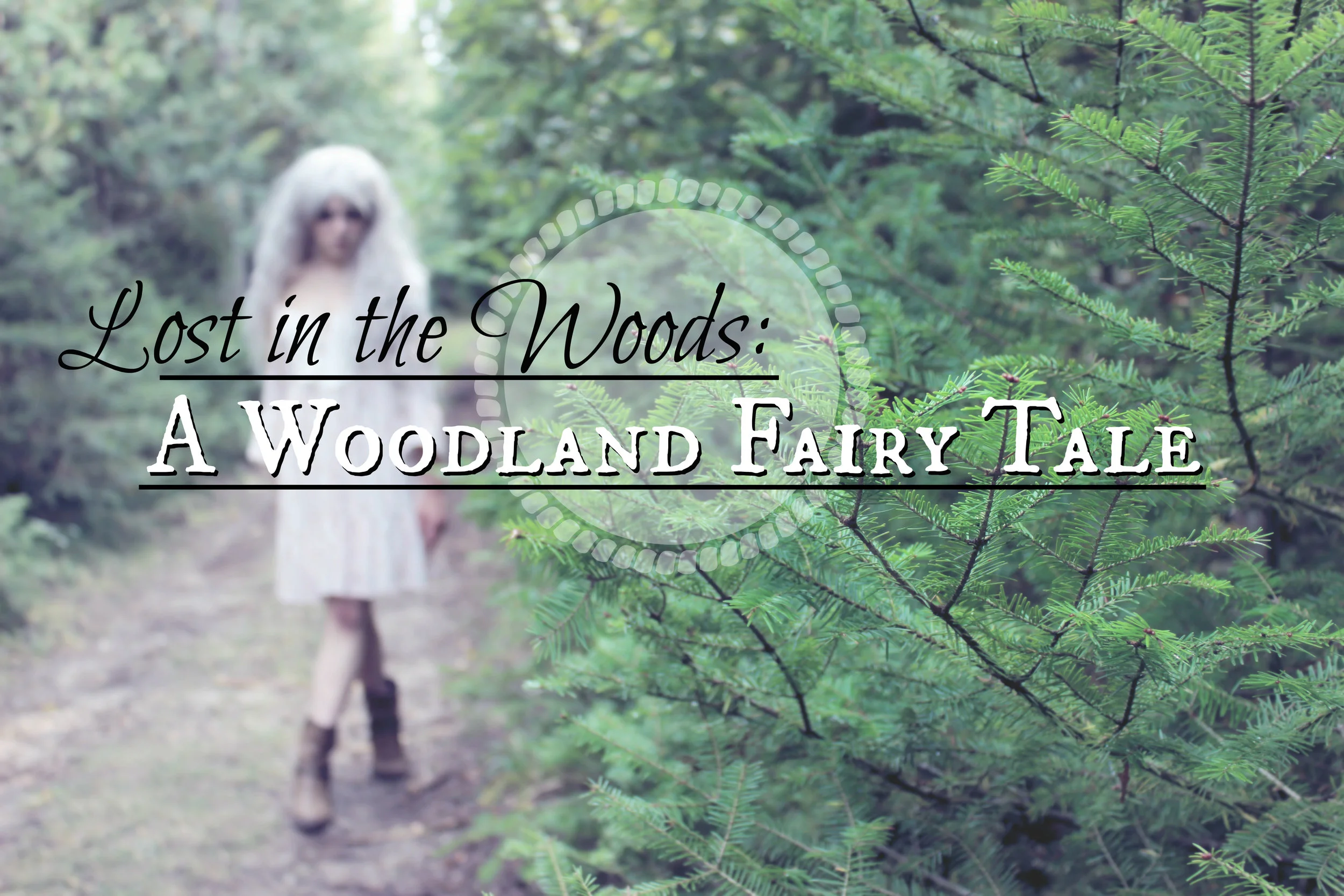Getting Lost in the Woods: A Story about Seeking Shelter from the Storm