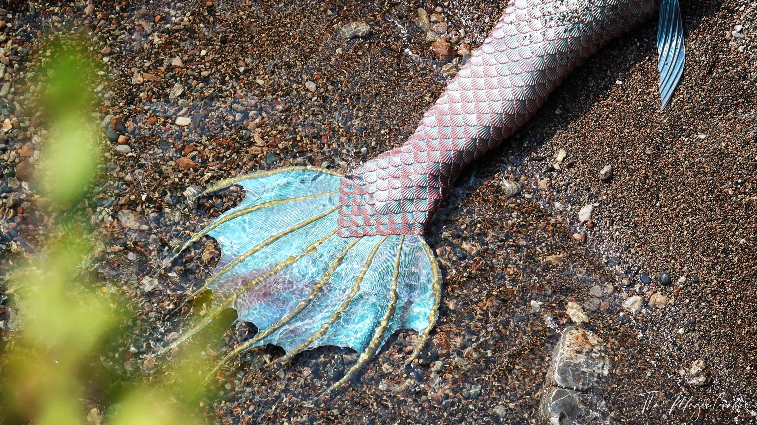 inexpensive silicone mermaid tails for sale - the magic crafter - lake superior siren - tail of the season fall 2025.jpg