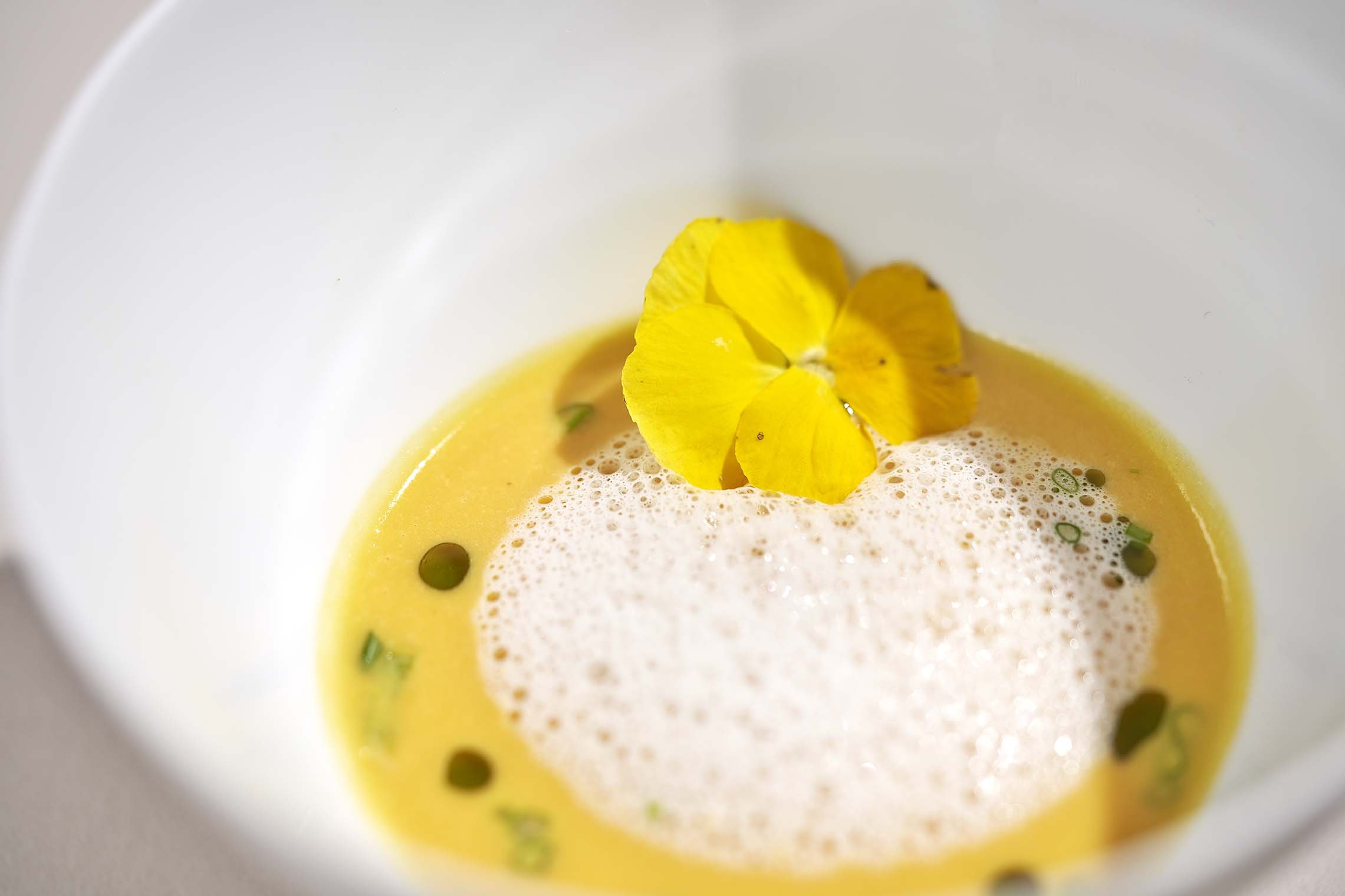 5_karotten-ingwer-suppe4411.jpg