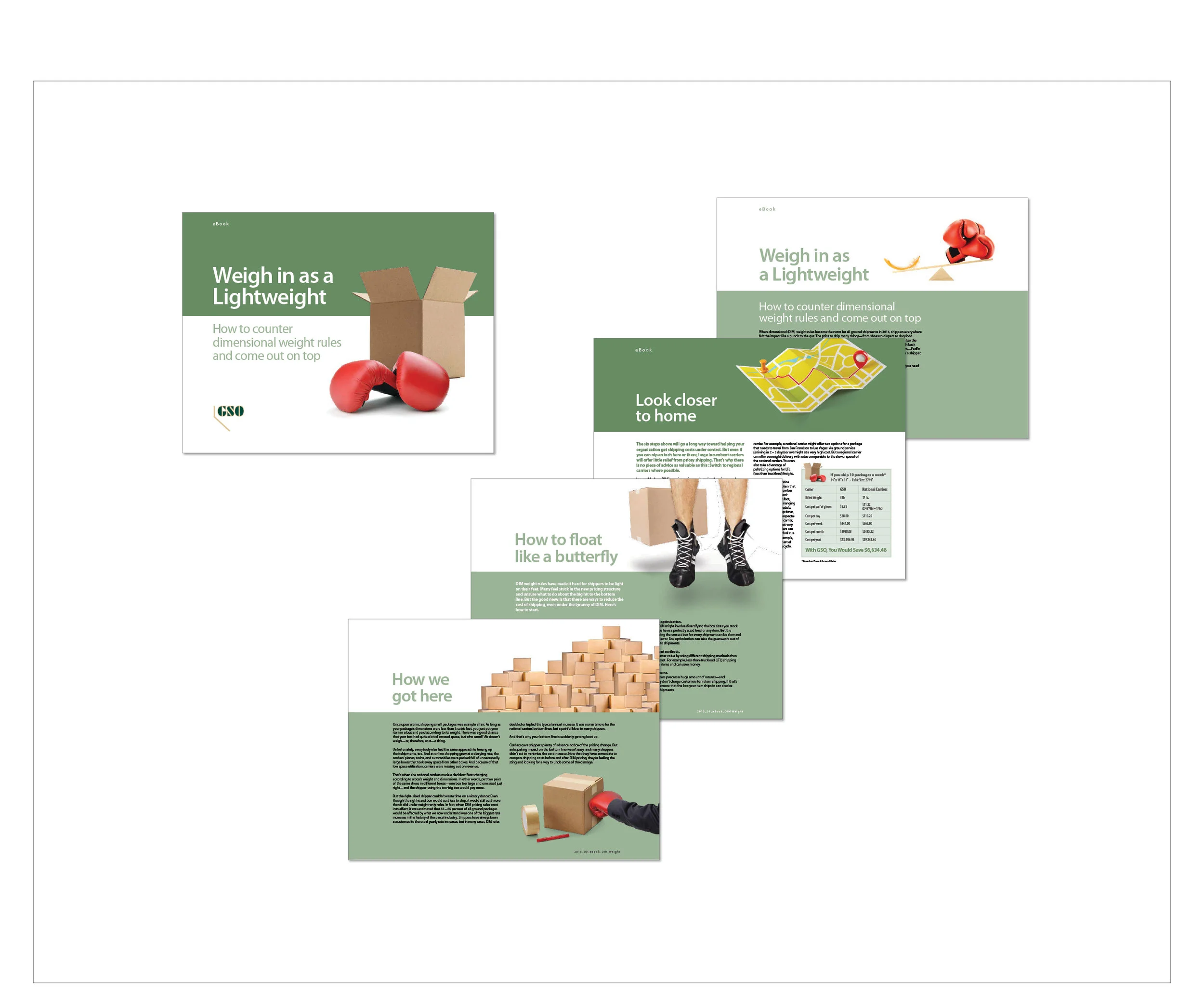 informational brochure and ebook