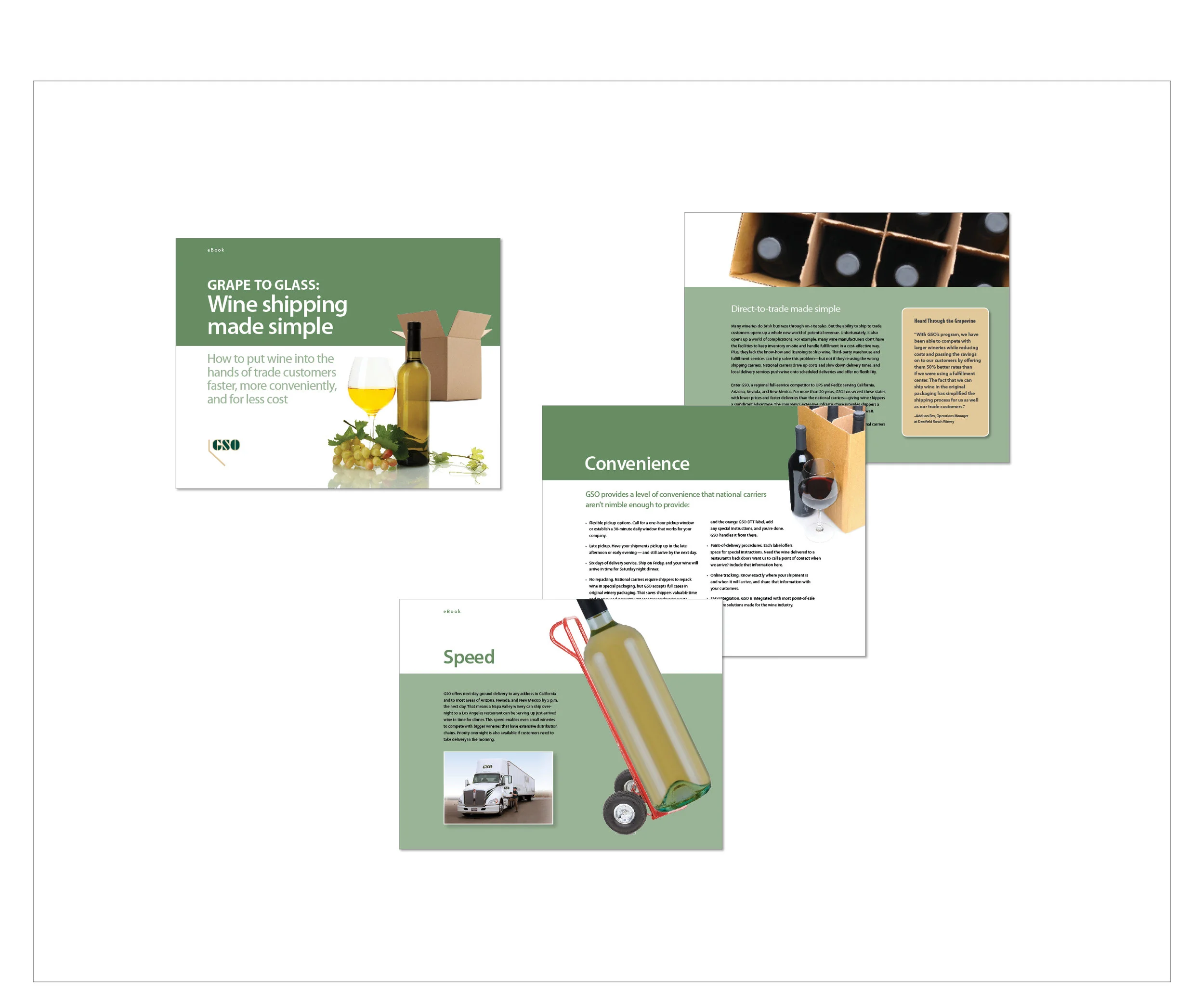 informational brochure and ebook