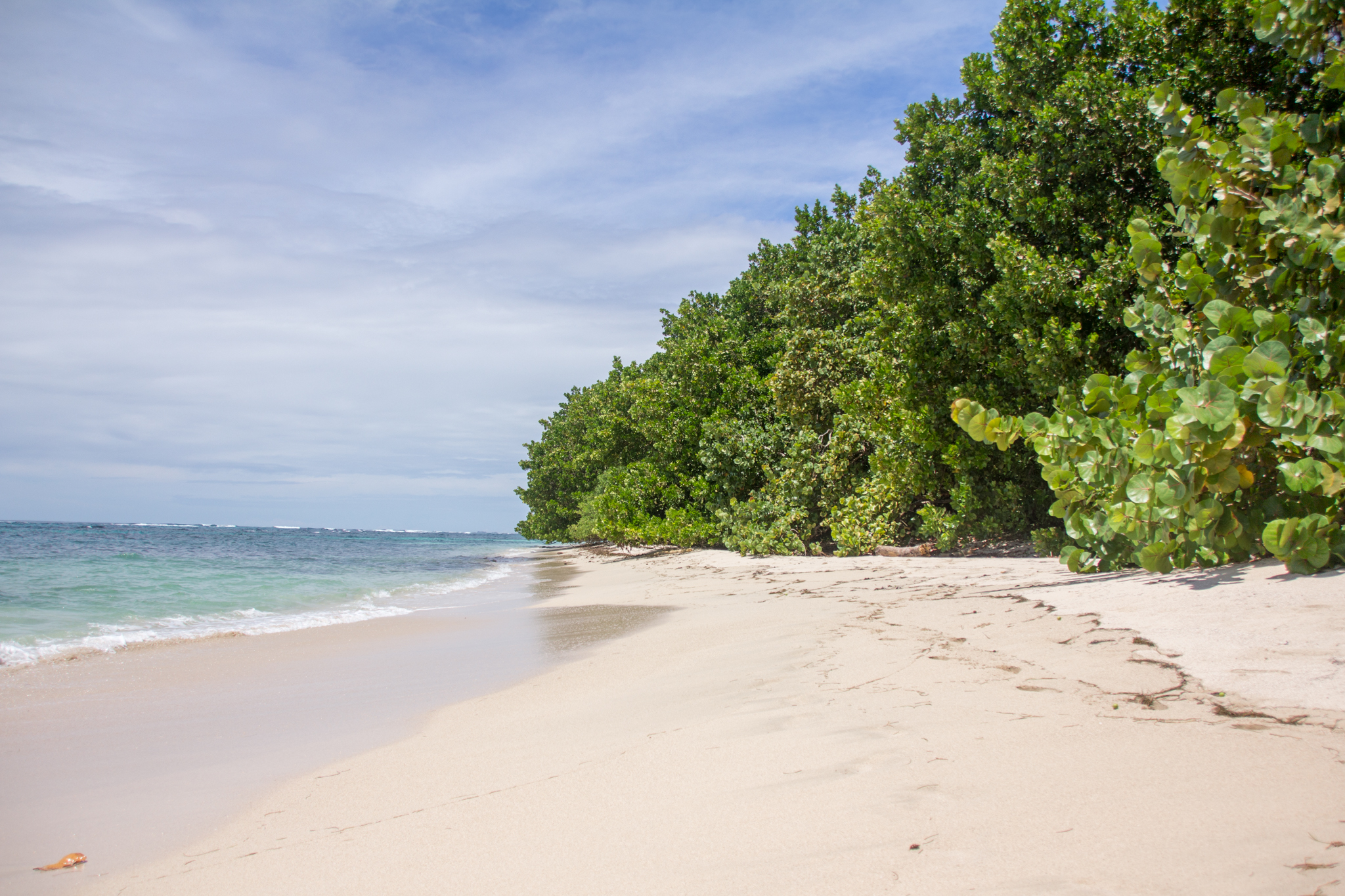 Zapatilla Island, where several Survivor seasons have been filmed