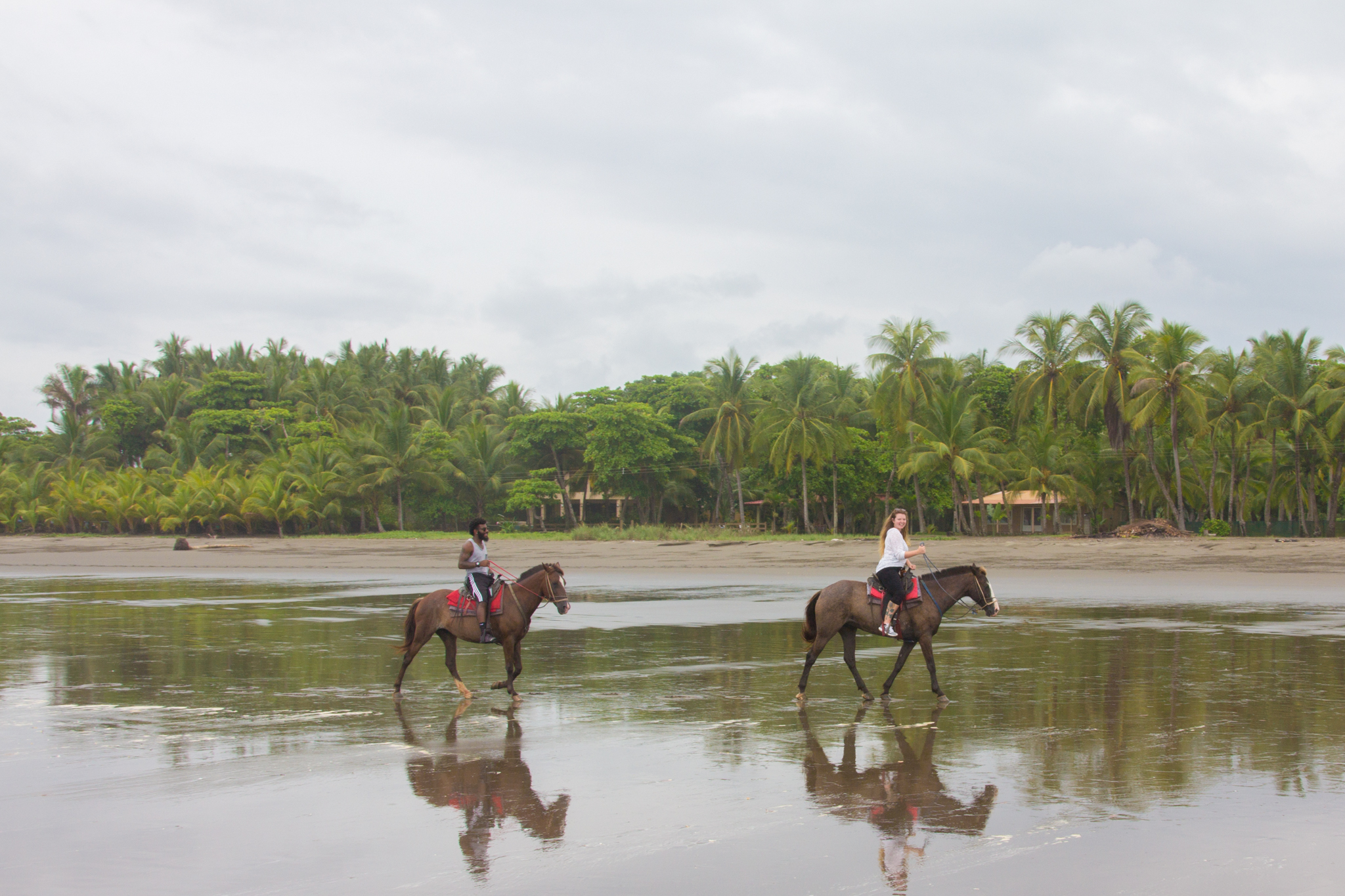 Horseback riding can be a bit pricey but there are ways to make it cheaper: Groupon, student cards, and coupon clipping all come in handy. 